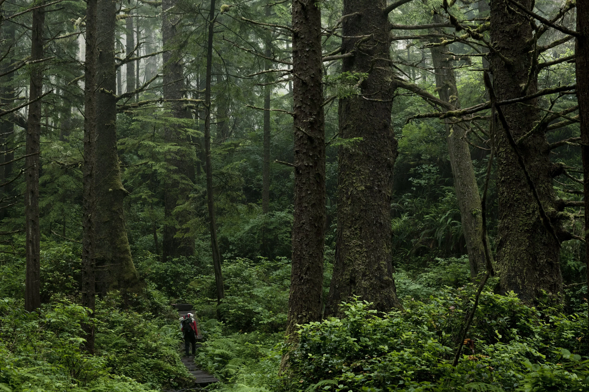 West Coast Trail