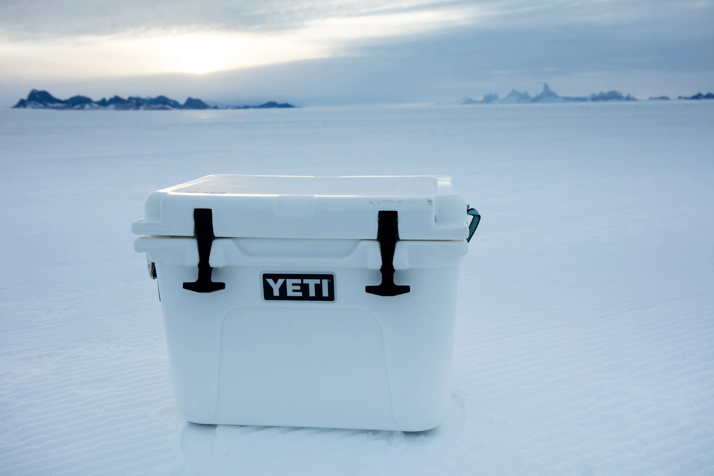 Card 1 Stills TRVLR Ant-10103.jpg