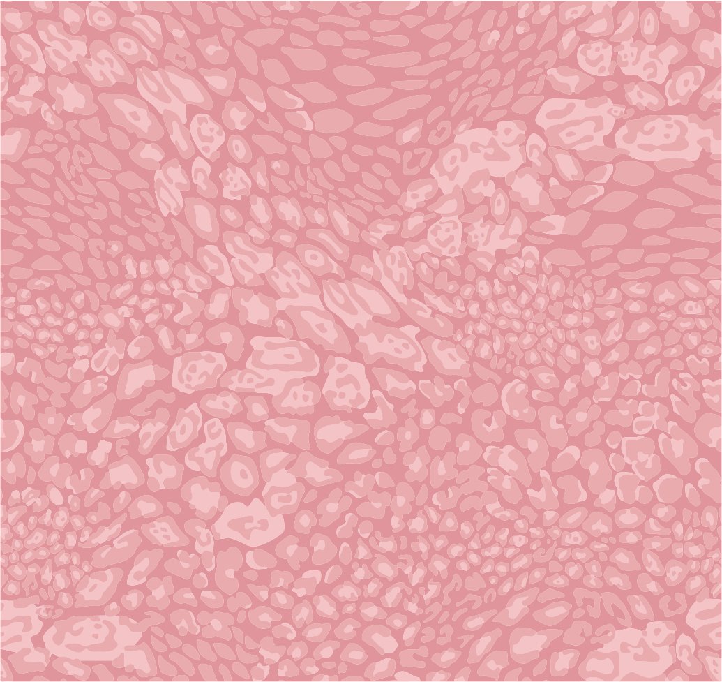 Rossette (coral).jpg