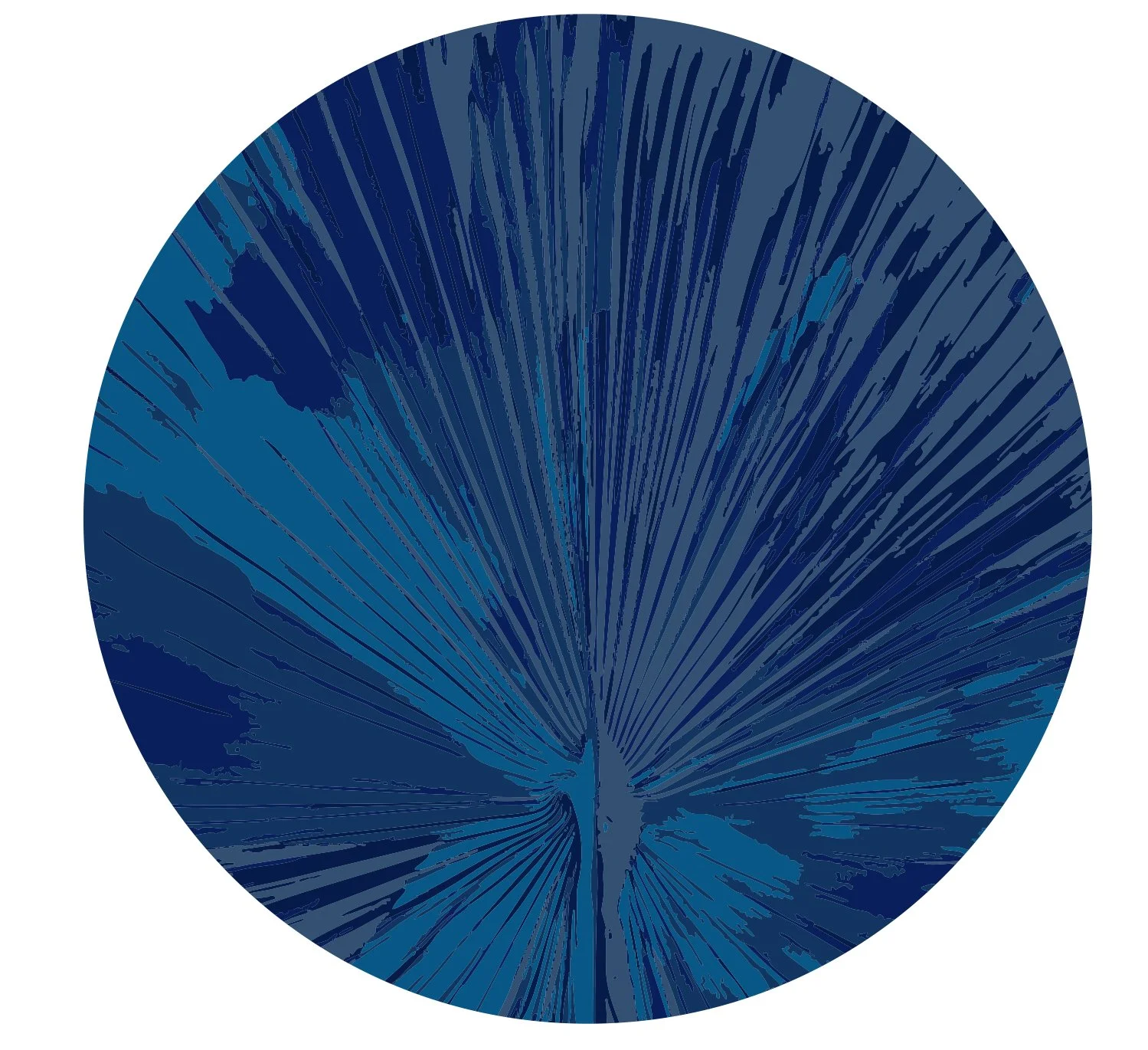 Palmier Blue.jpg