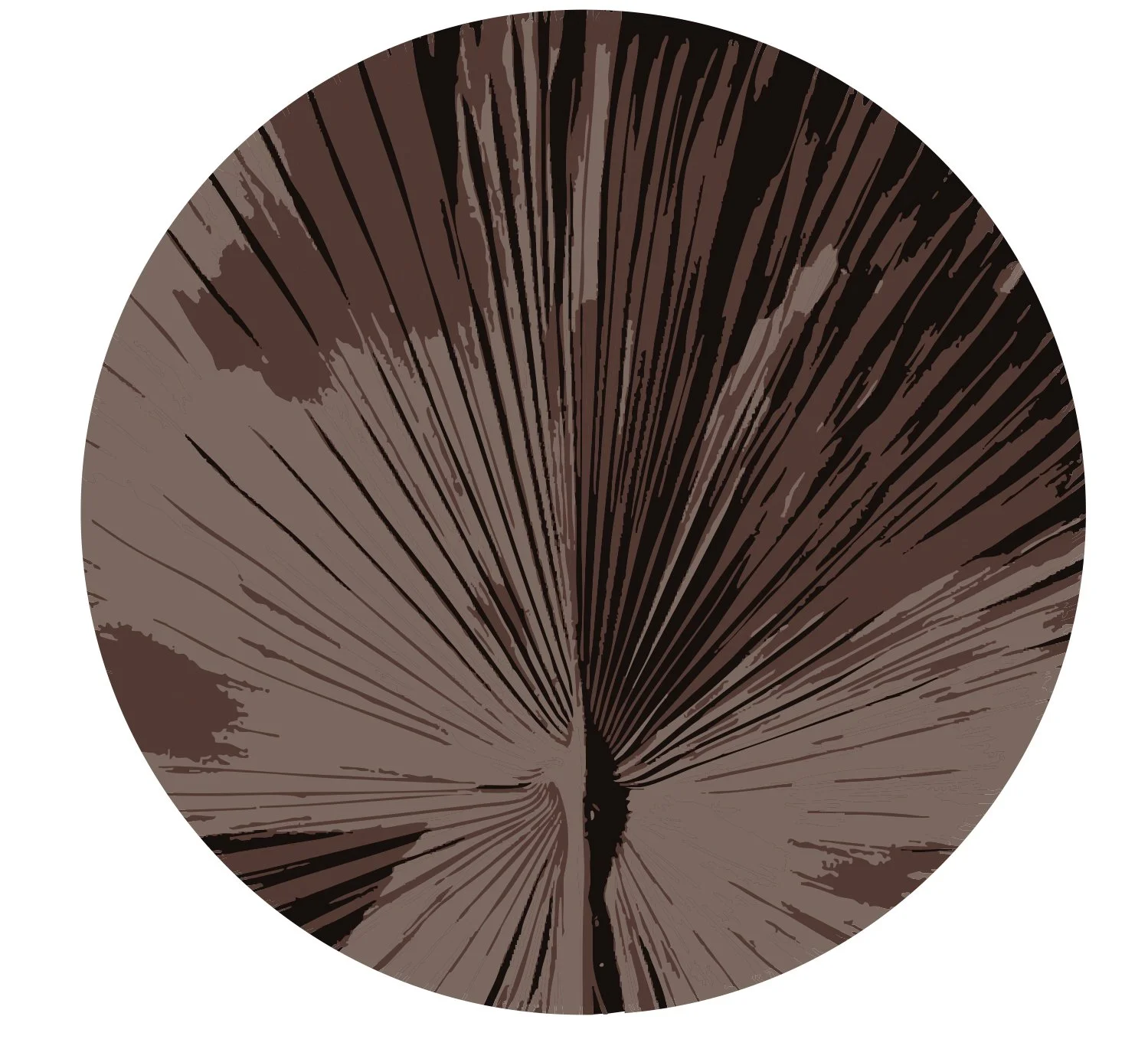 Palmier Brown.jpg