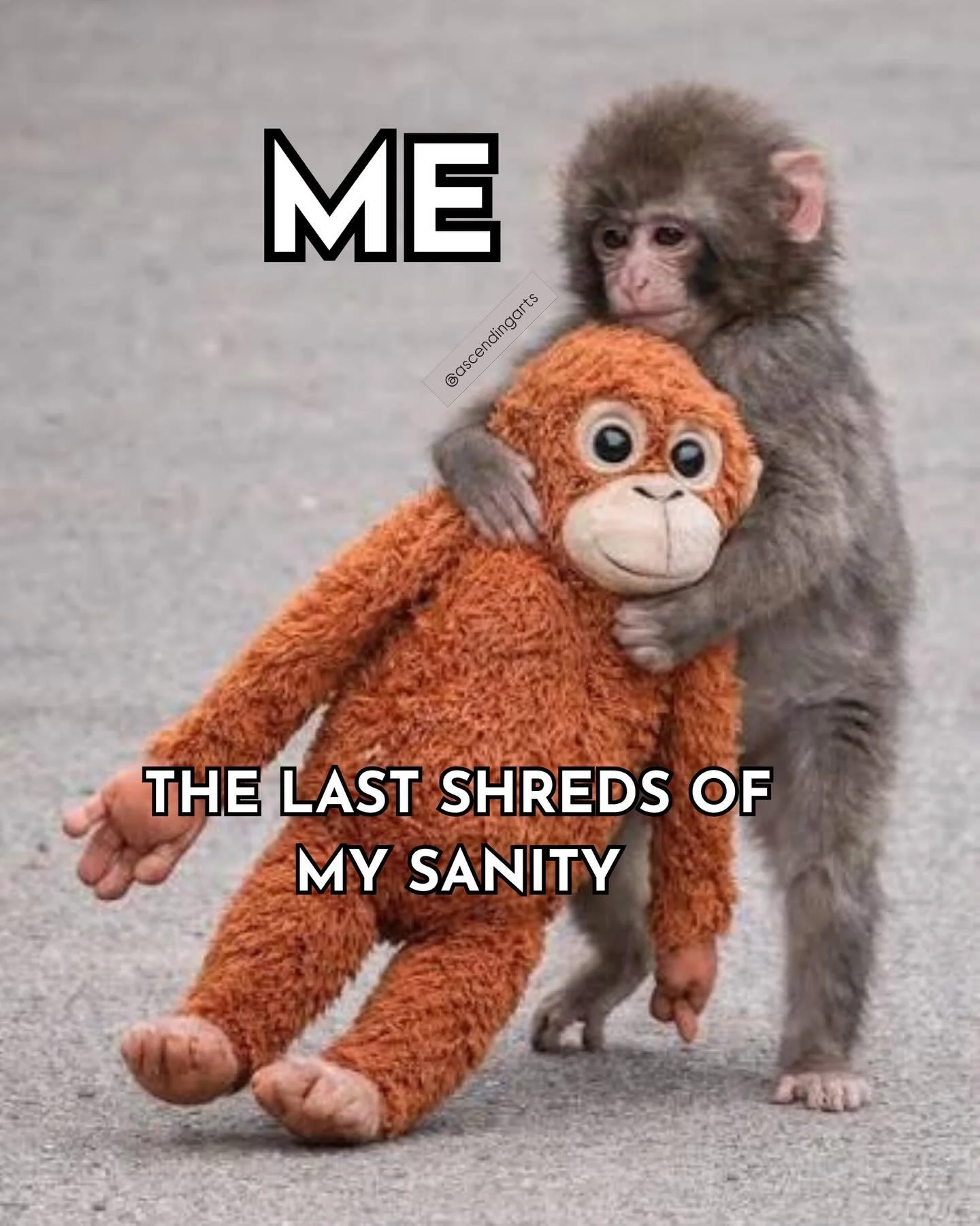 If Punch has taught us anything this week, it&rsquo;s that in the pursuit of love, connection, and community, we can find it if we just don&rsquo;t give up. The world doesn&rsquo;t have to be completely lost. We can love it into healing again. ❤️&zwj