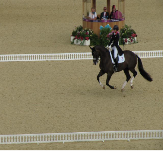 September Bash Schooling Show