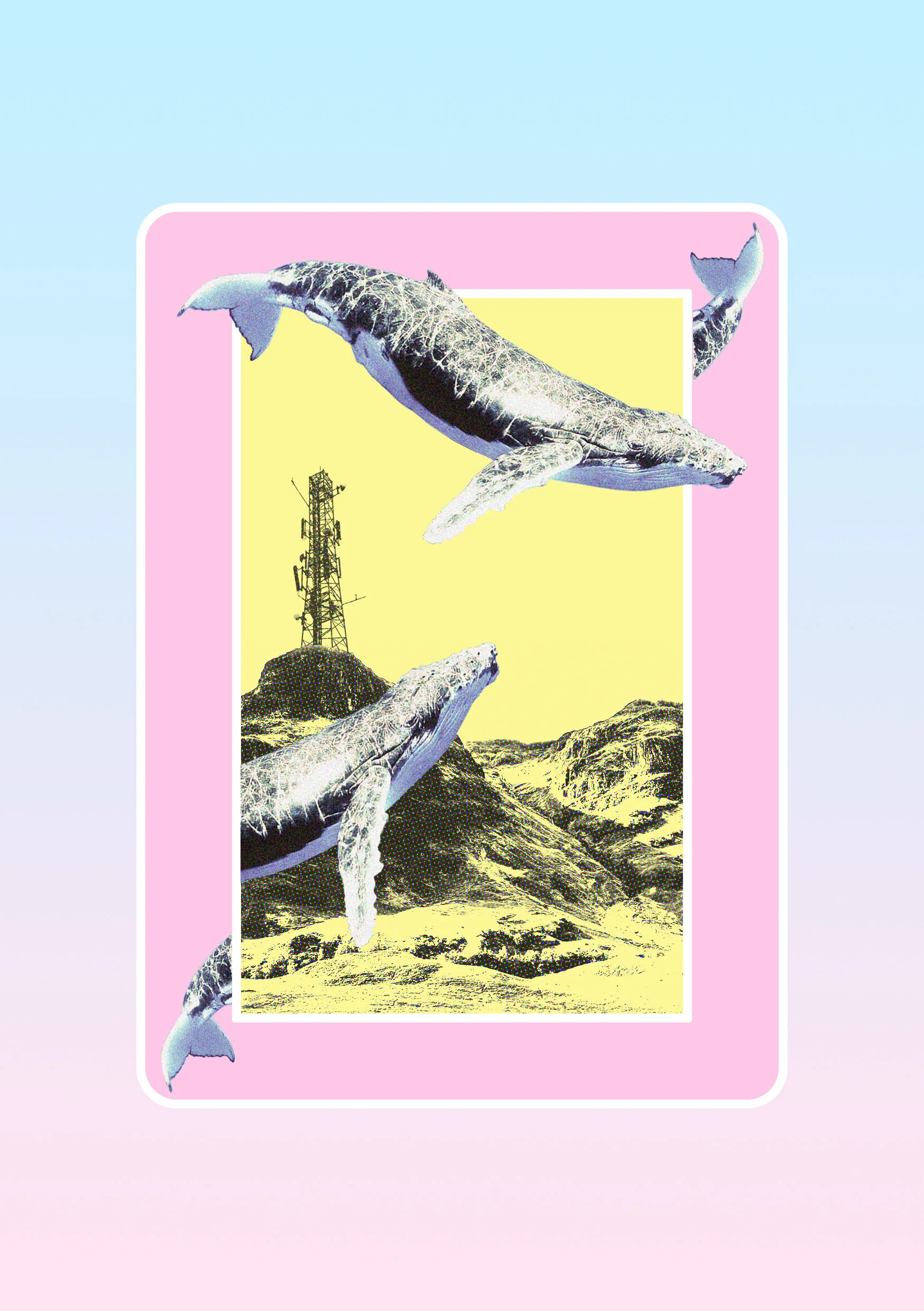 49. Dreaming - Whales.jpg