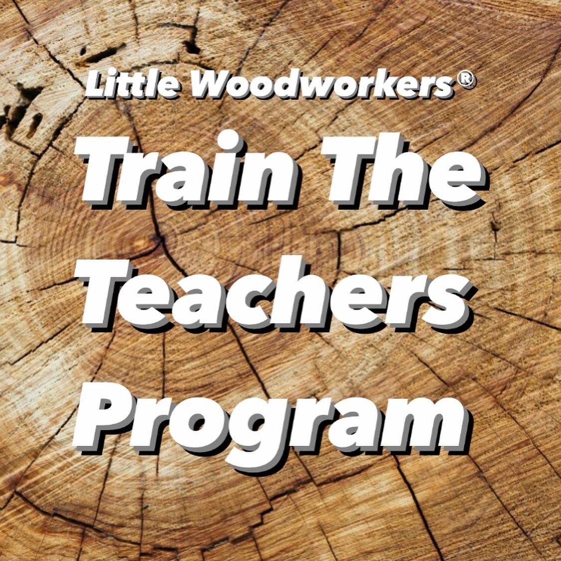 After a decade of facilitating 1,500 woodwork incursions and gathering Teacher&rsquo;s feedback, we are launching The Little Woodworkers&reg; TRAIN THE TEACHERS Program. 👨&zwj;🏫

Our aim is to empower Educators to integrate woodwork effectively int