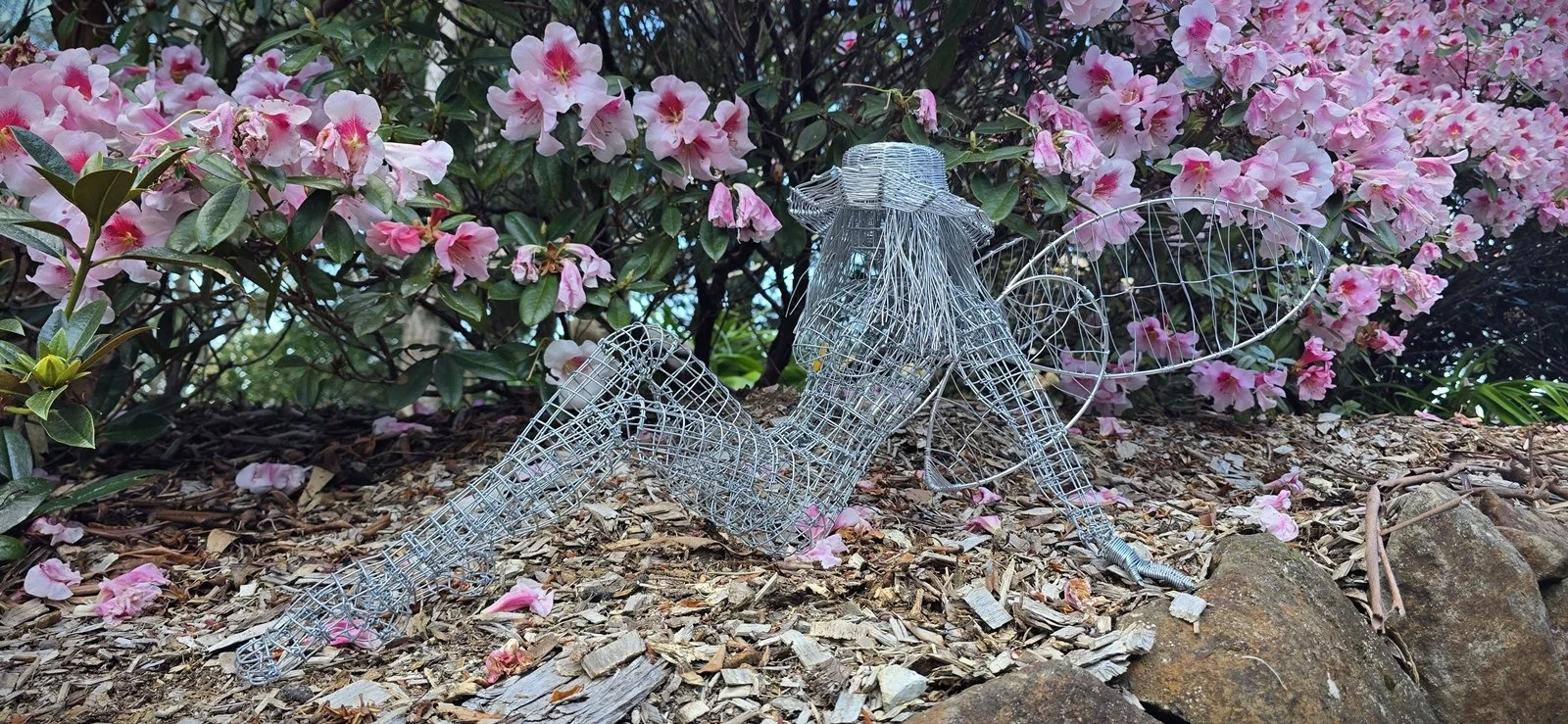Fairy 20260921_171319_1600.jpg
