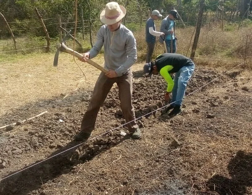 Dayana's Home: Hard at Work