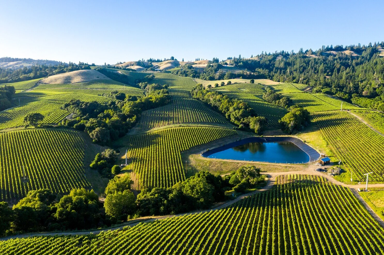 Napa Drone Photography Services & Aerial Video Services by iSky Films