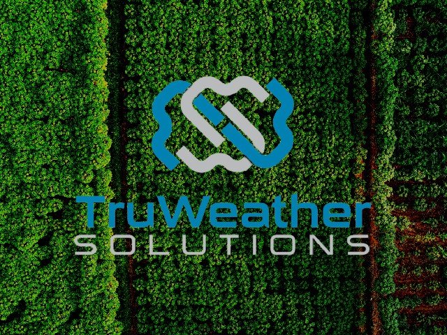 TruWeatherSolutionsDroneWeatherChecker.jpg