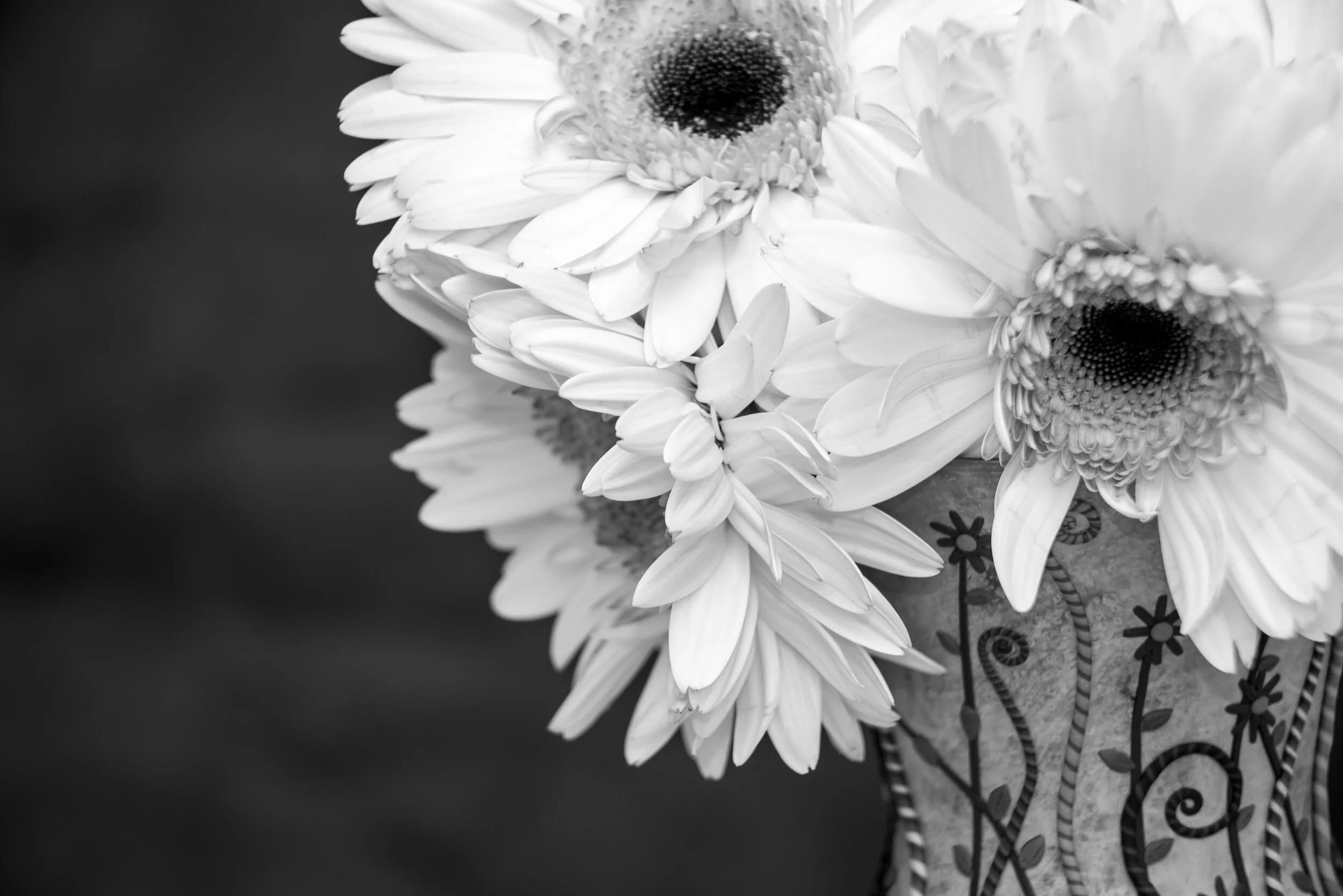 DSC_9478.jpg