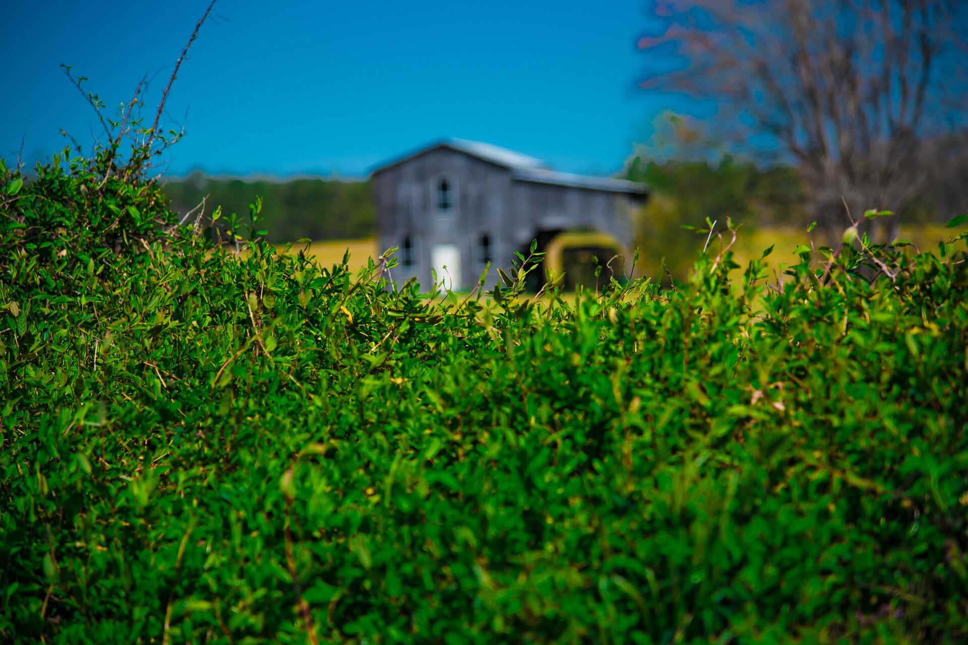 Barn2.jpg