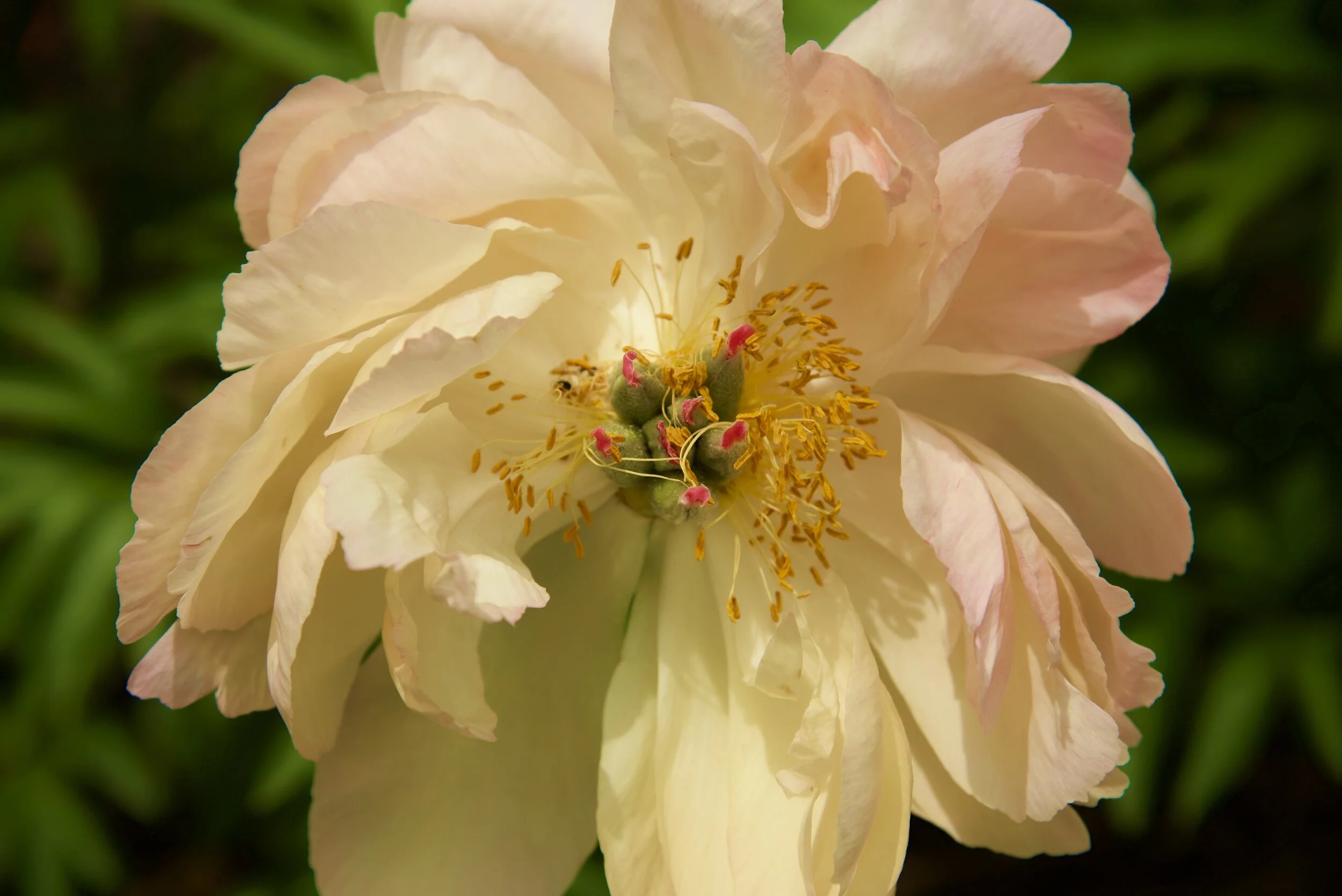 DSC_5577.jpg