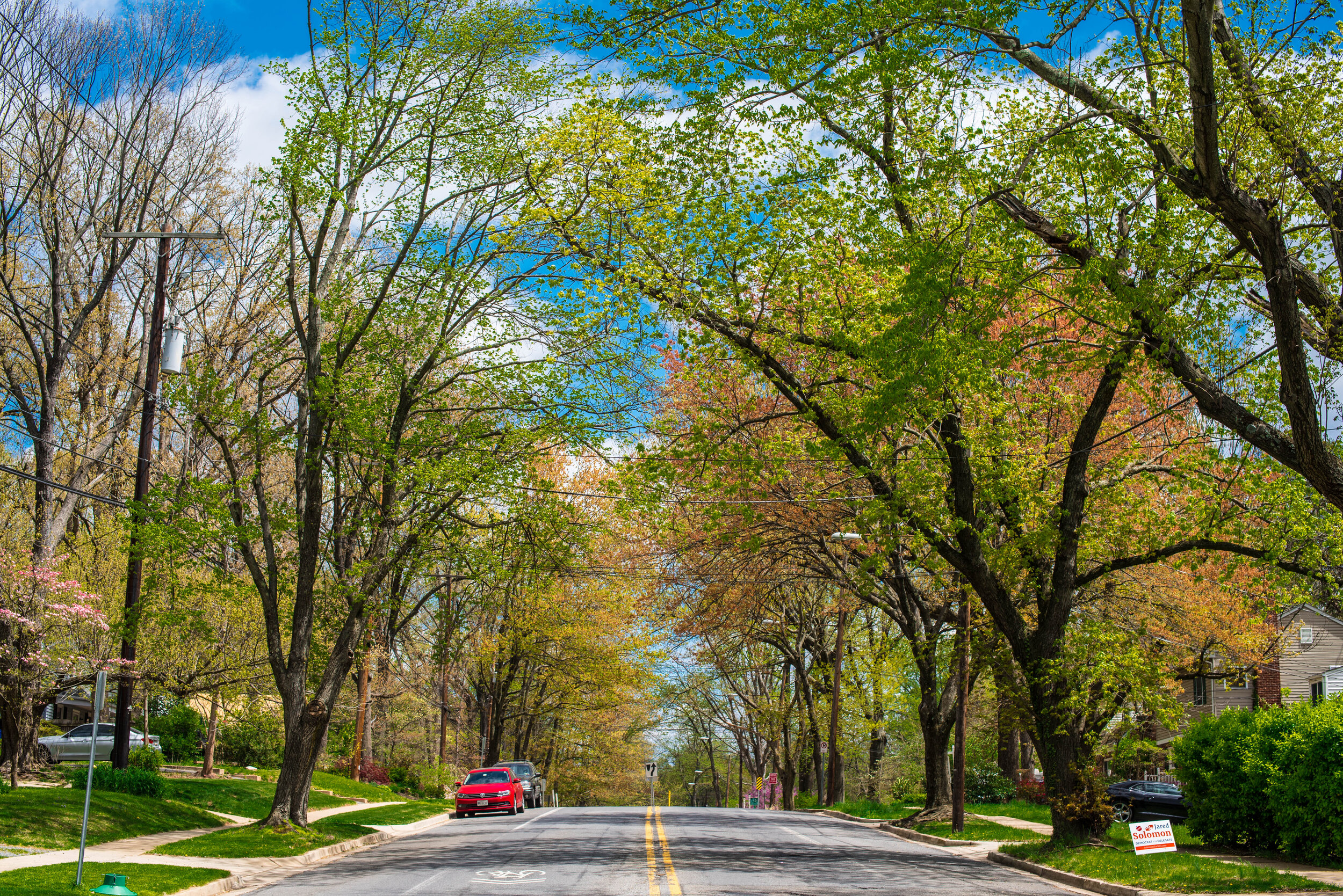 Ceviche (1 of 1).JPG
