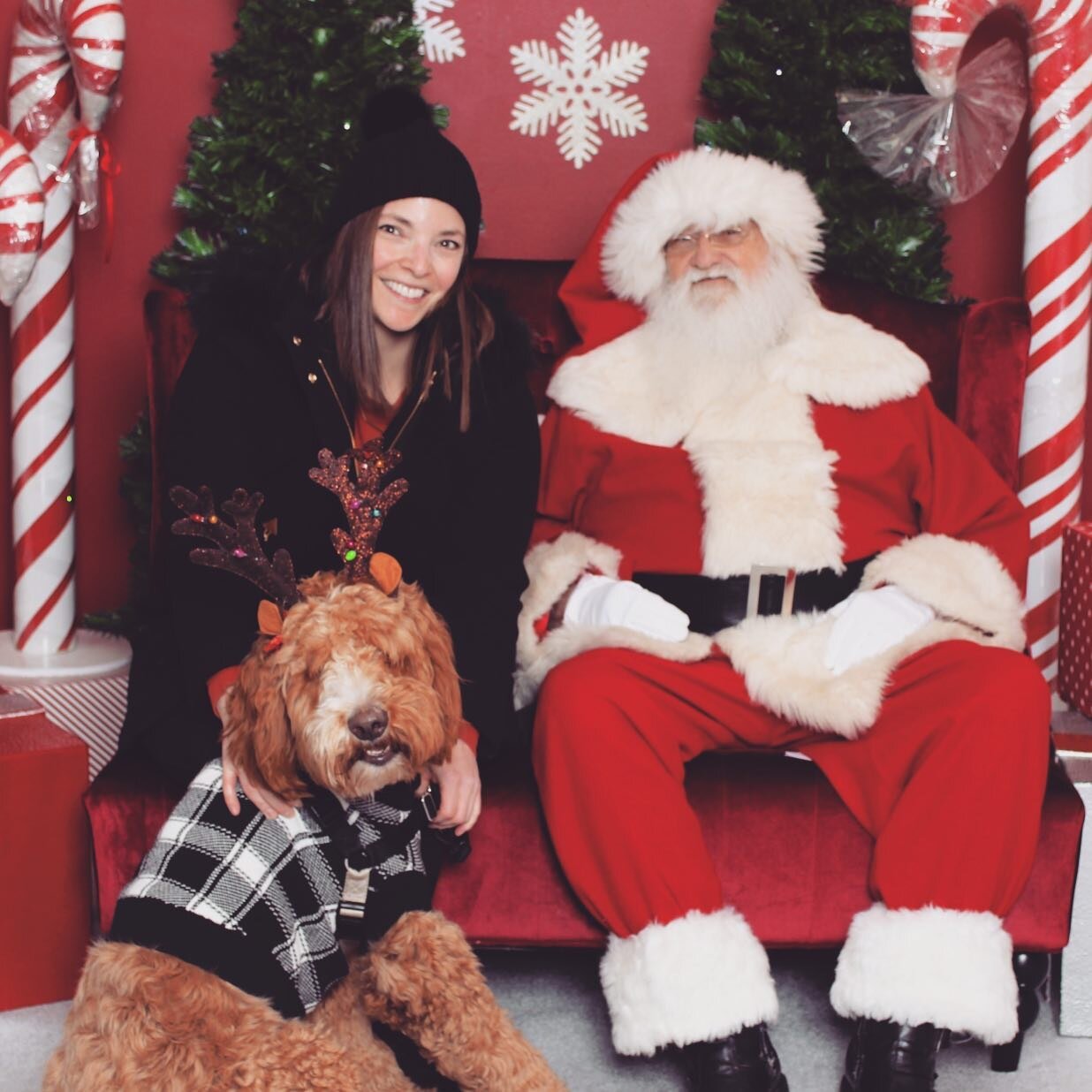 I mean should I really spend $39 for pet day with Santa? Obviously 🐕&hearts;️