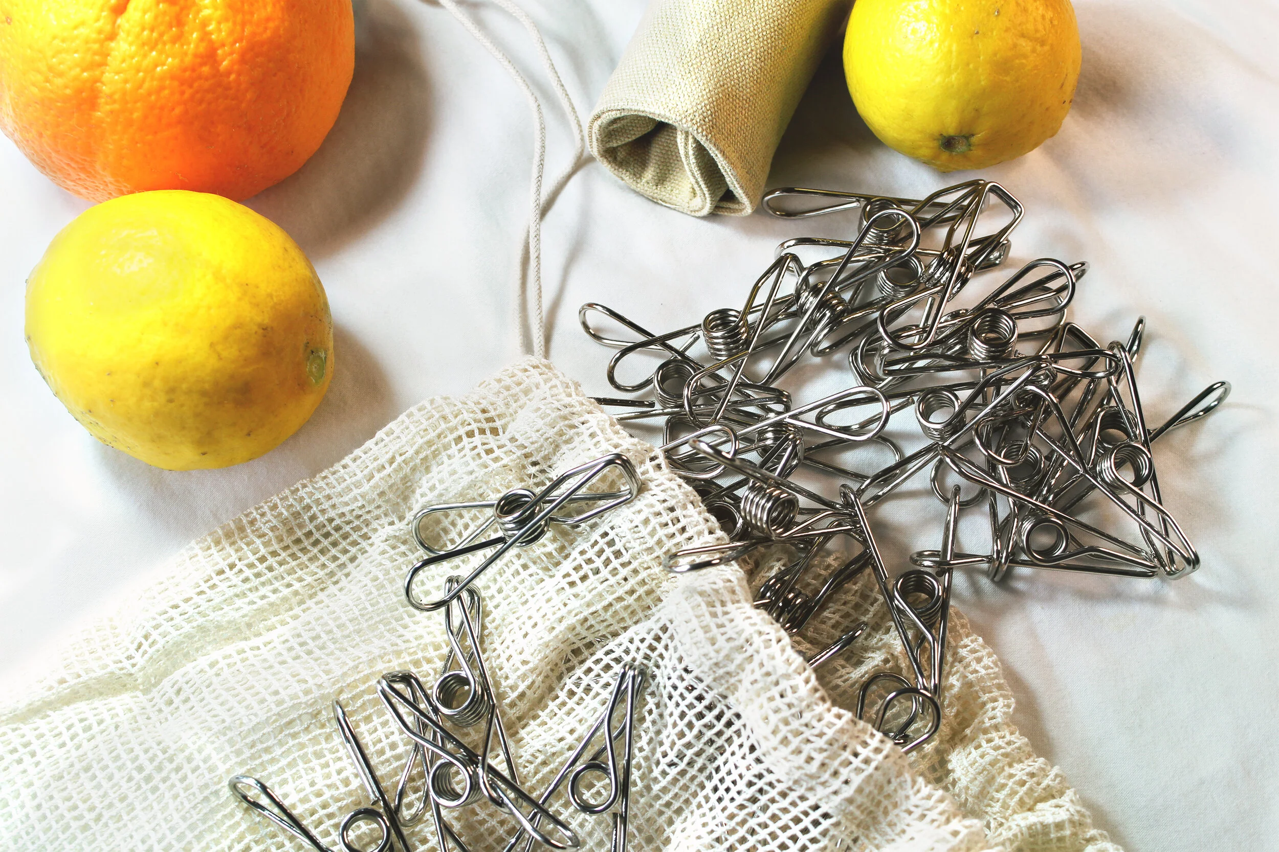 Stainless Steel Pegs