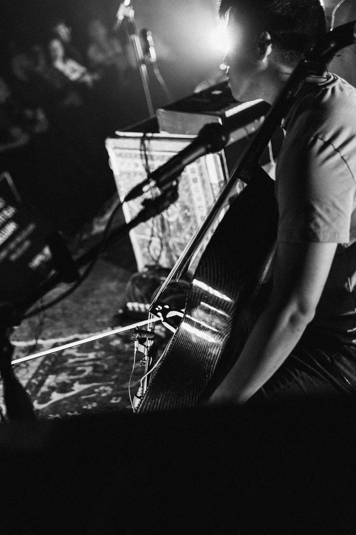 A person playing a cello and singing into a microphone at a live music performance, with an audience in the background.