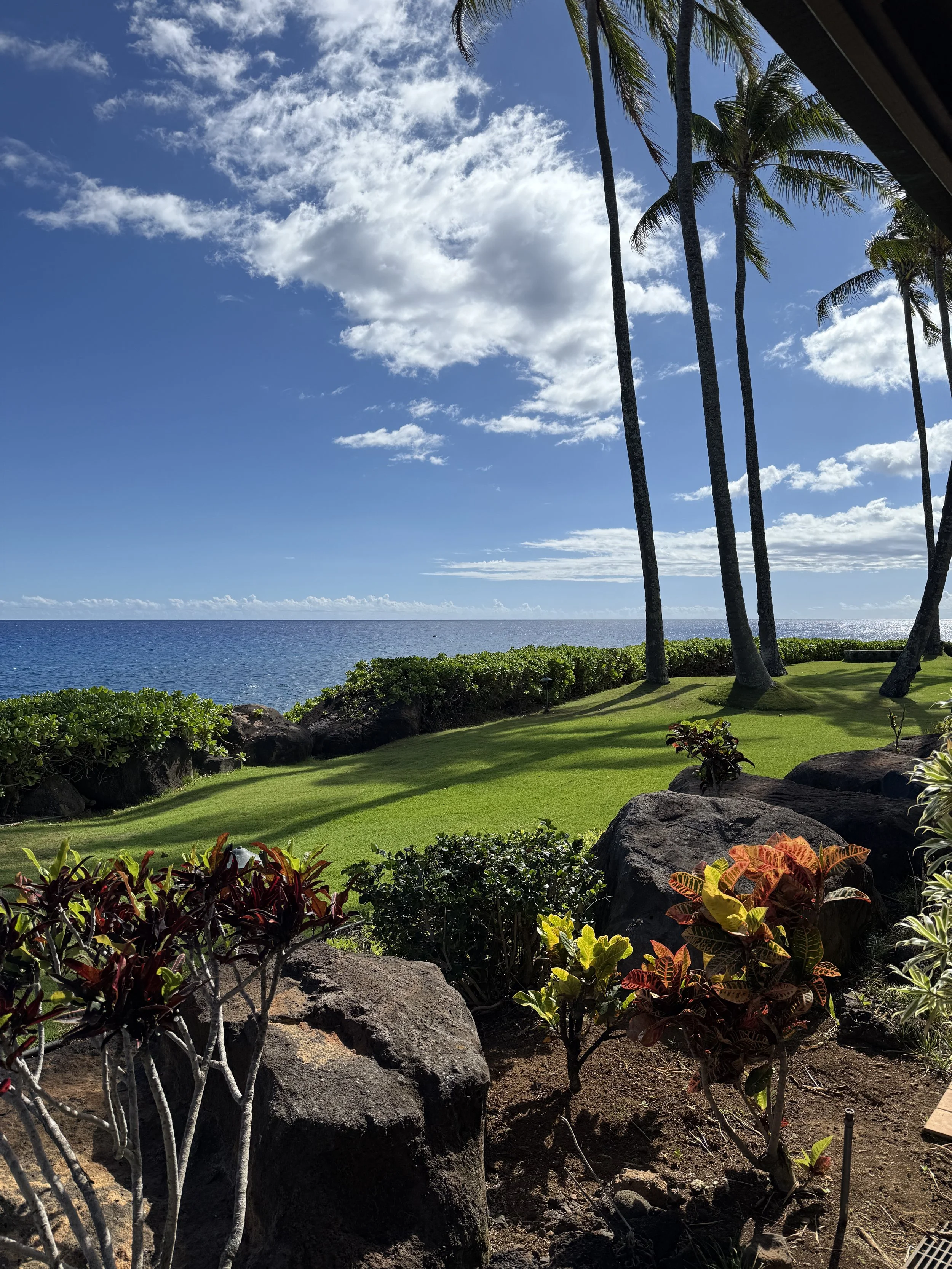 From Kauai to Home: Nature-inspired Design Lessons