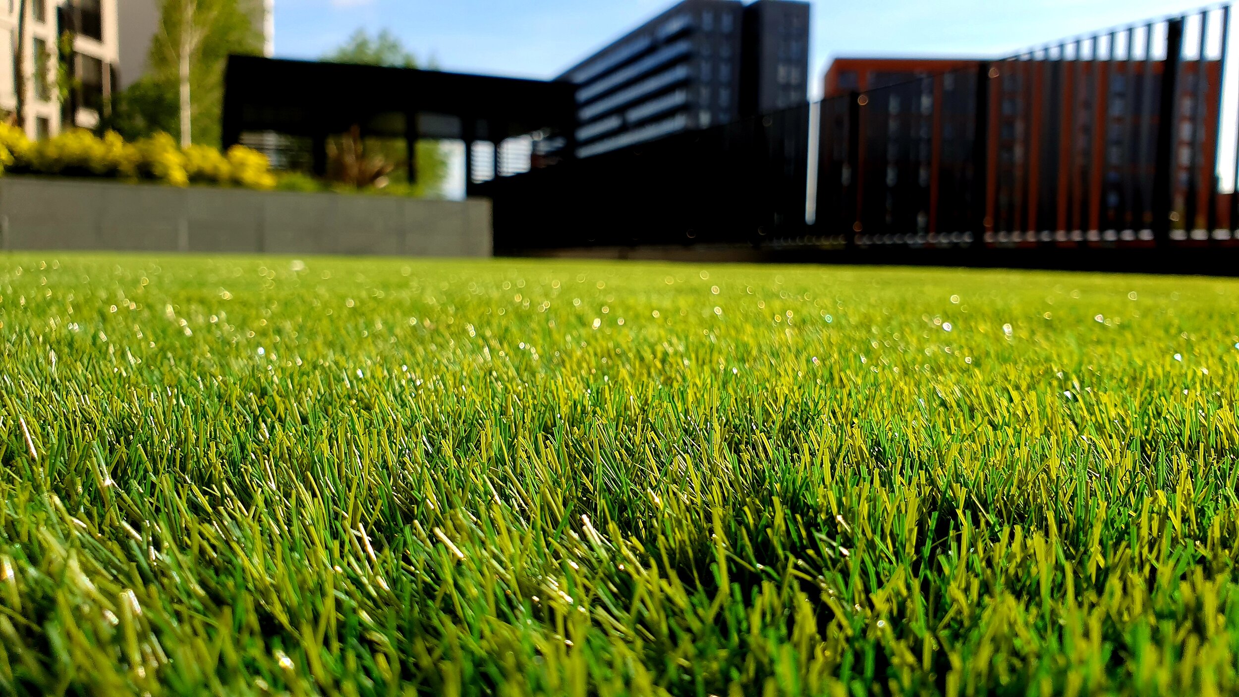 synthetic grass