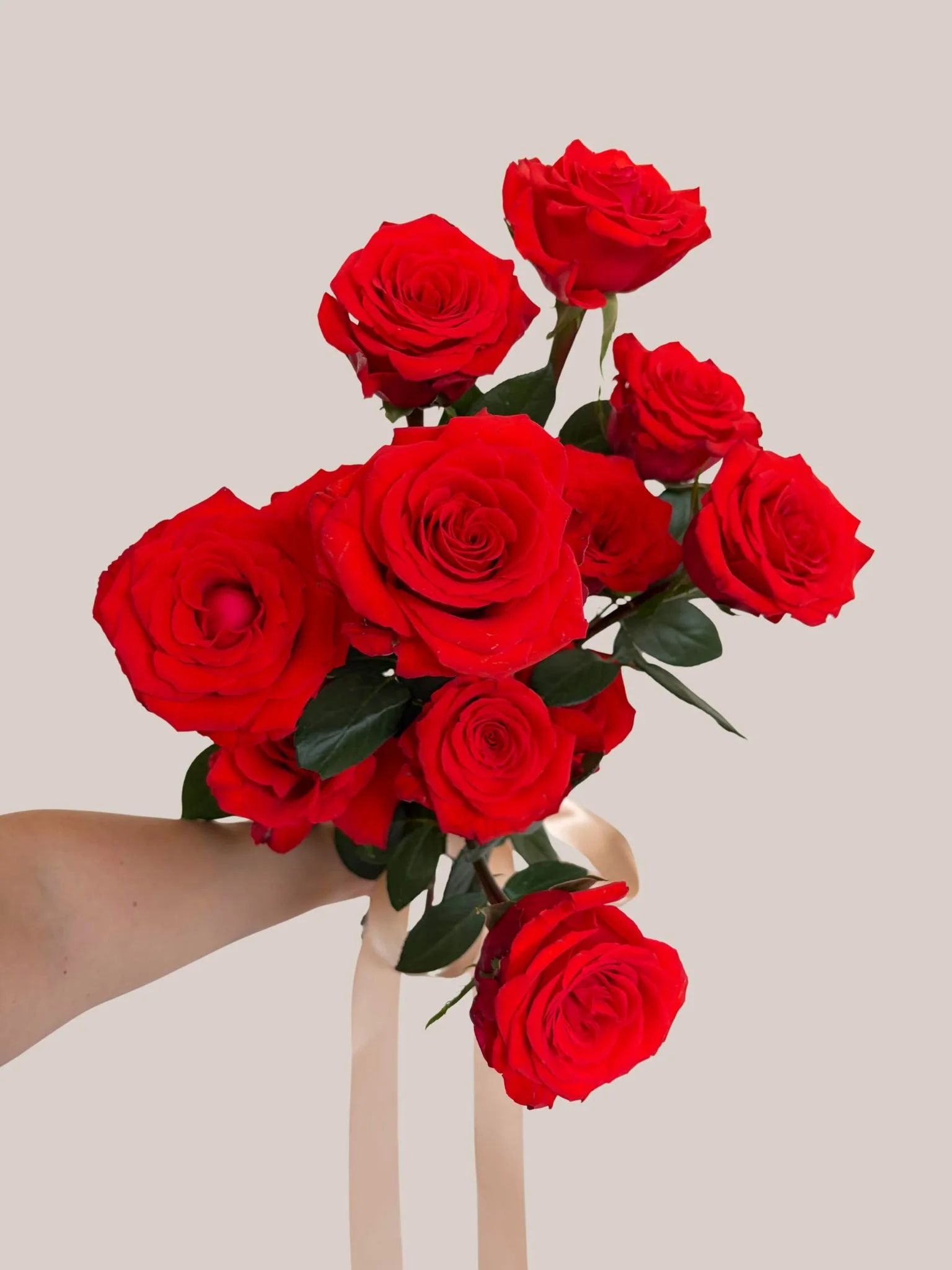 Valentine's Day Dozen