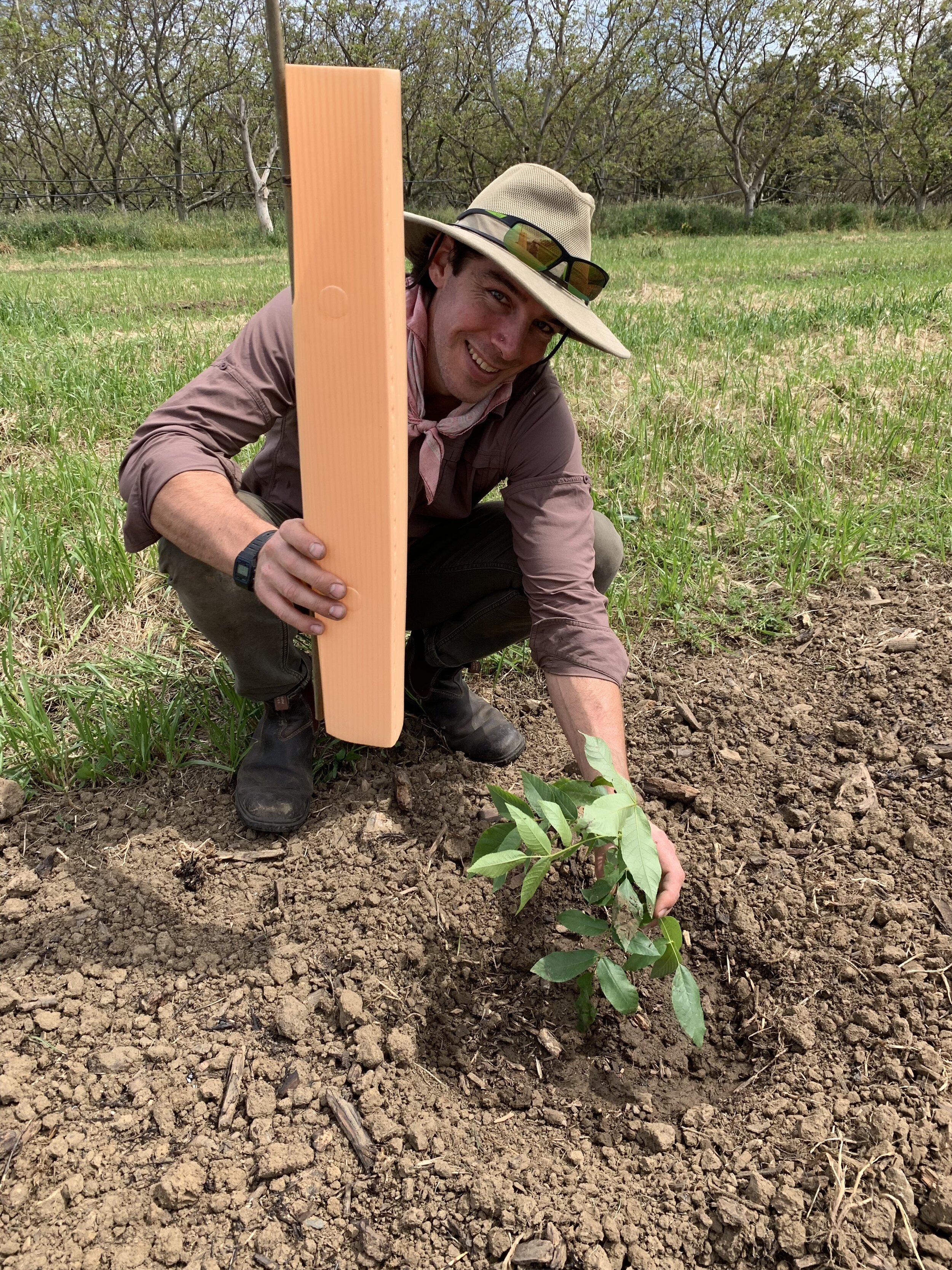 Sean planting new trees