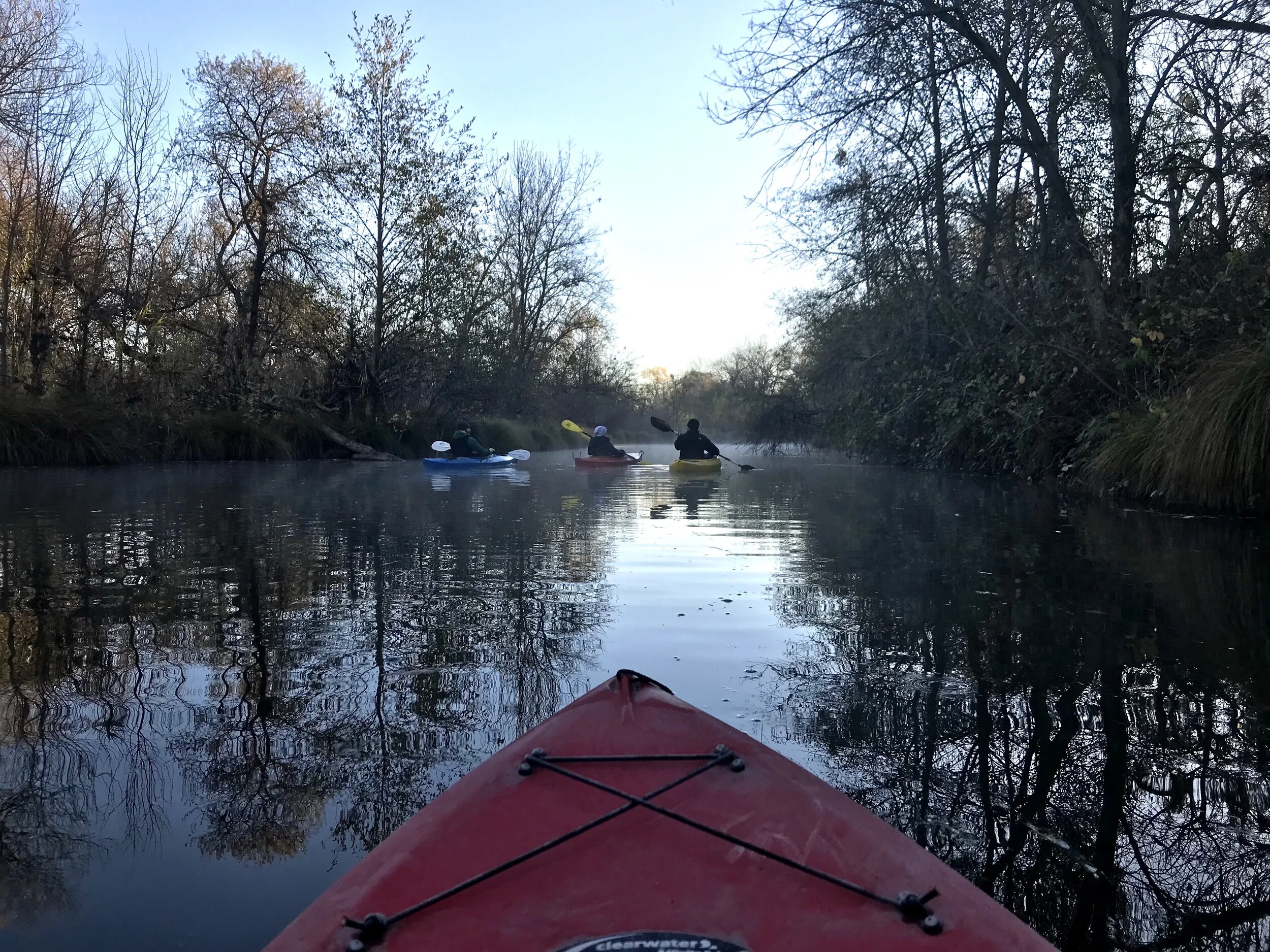 Morning Kayak_Putah.jpeg