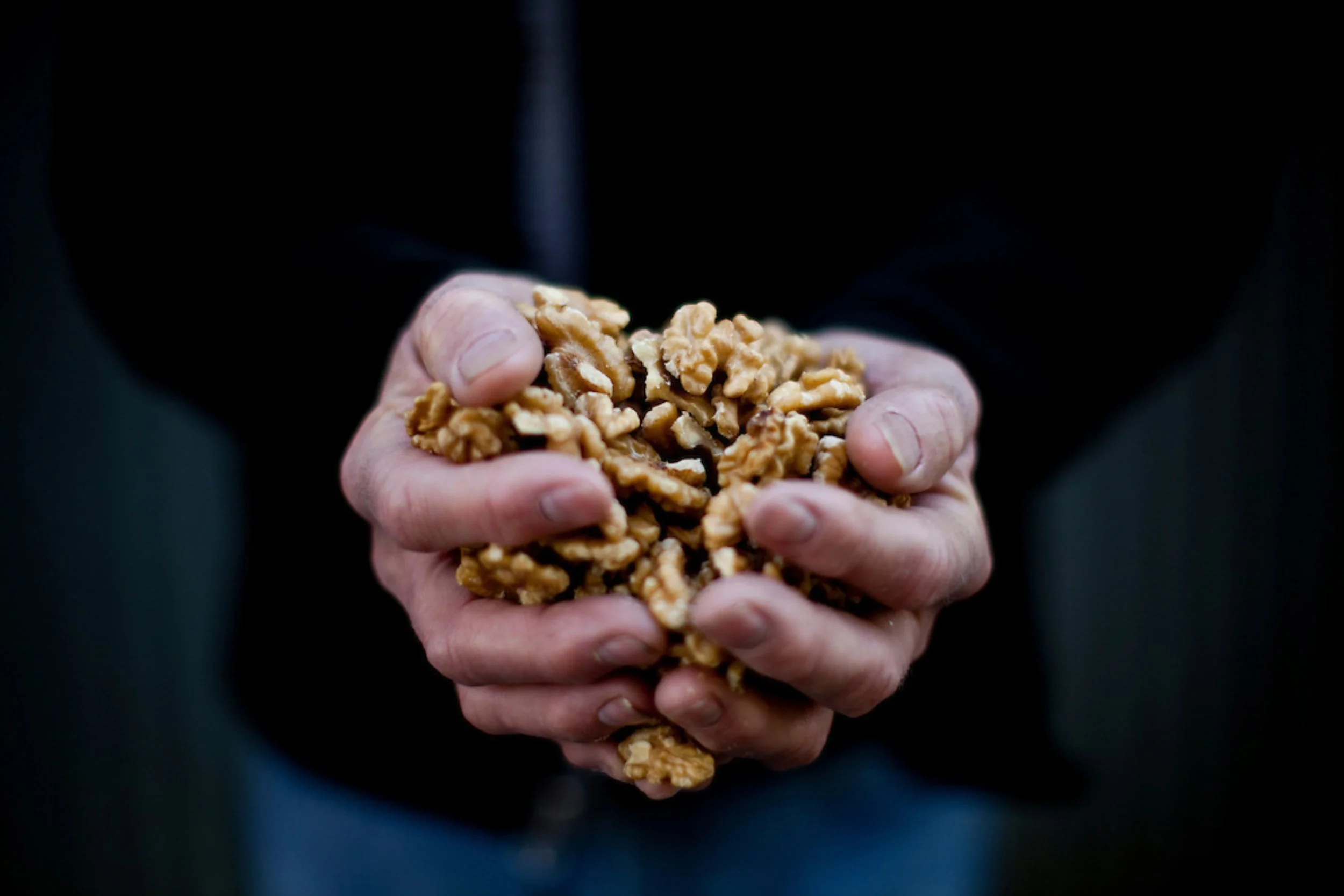 Walnuts_Hands.jpeg
