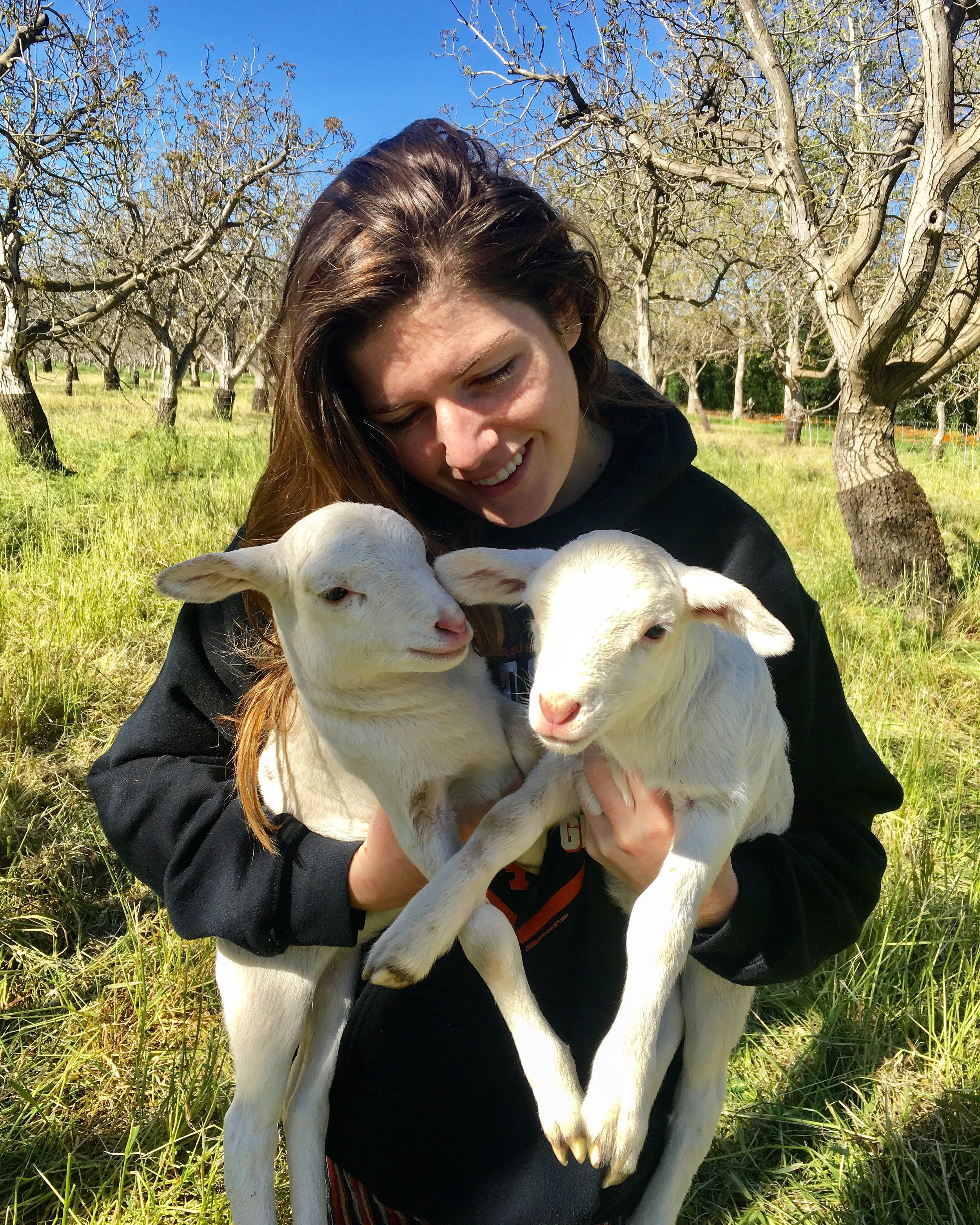 Emily and baby lambs.jpeg