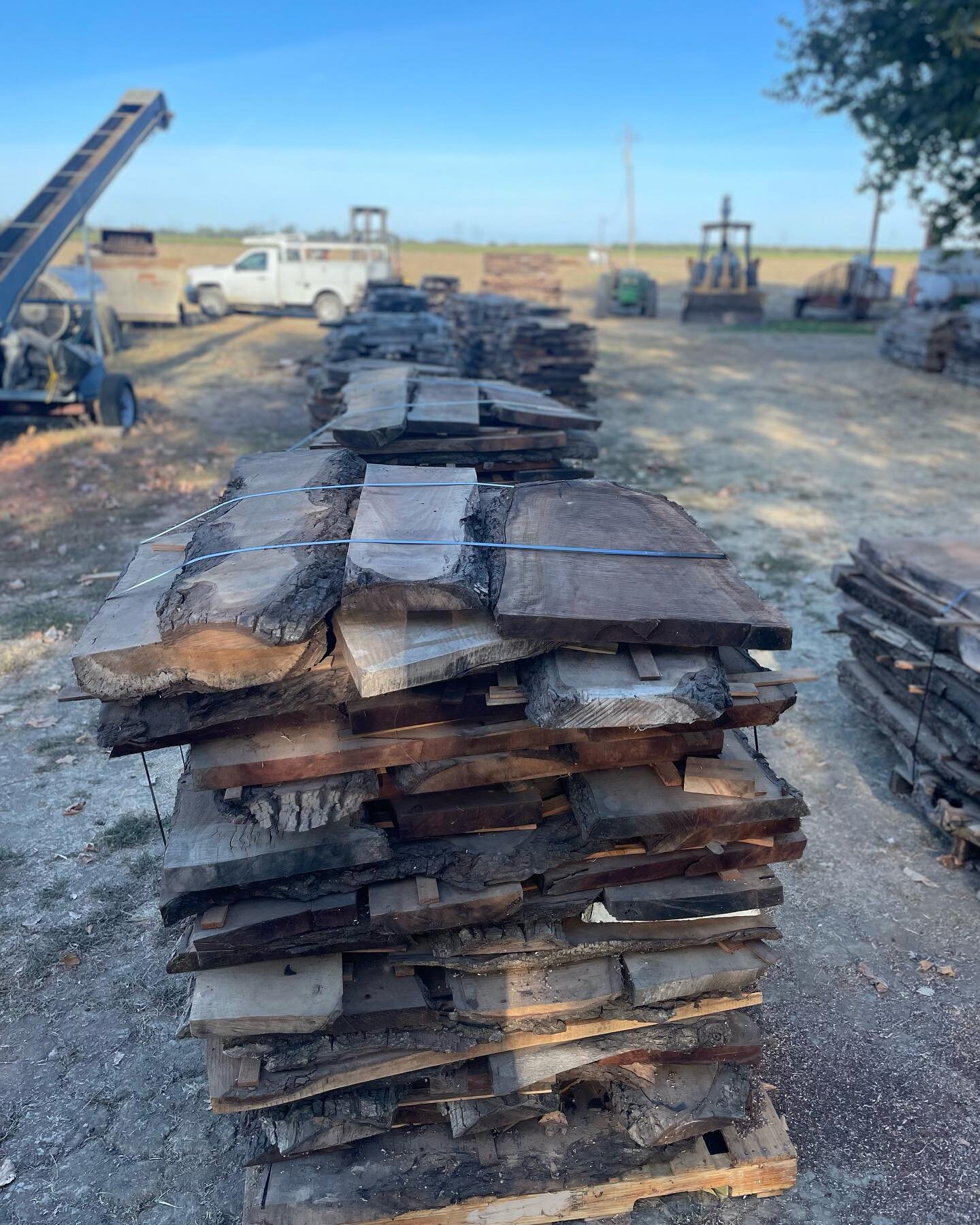 Farm Manager, Sean, coordinated, packed, and loaded our walnut wood for its next journey.
Removing our 60 year old walnut orchard is bittersweet. On one hand, a forest of memories and productivity that have helped sustain us for decades is gone. On t