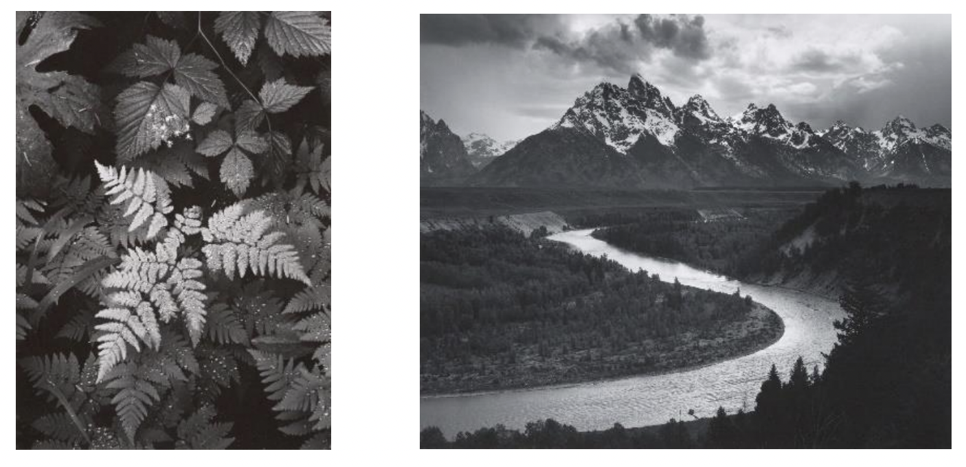 Ansel Adams: Masterworks Exhibit Opens at Seattle’s Museum of History &amp; Industry