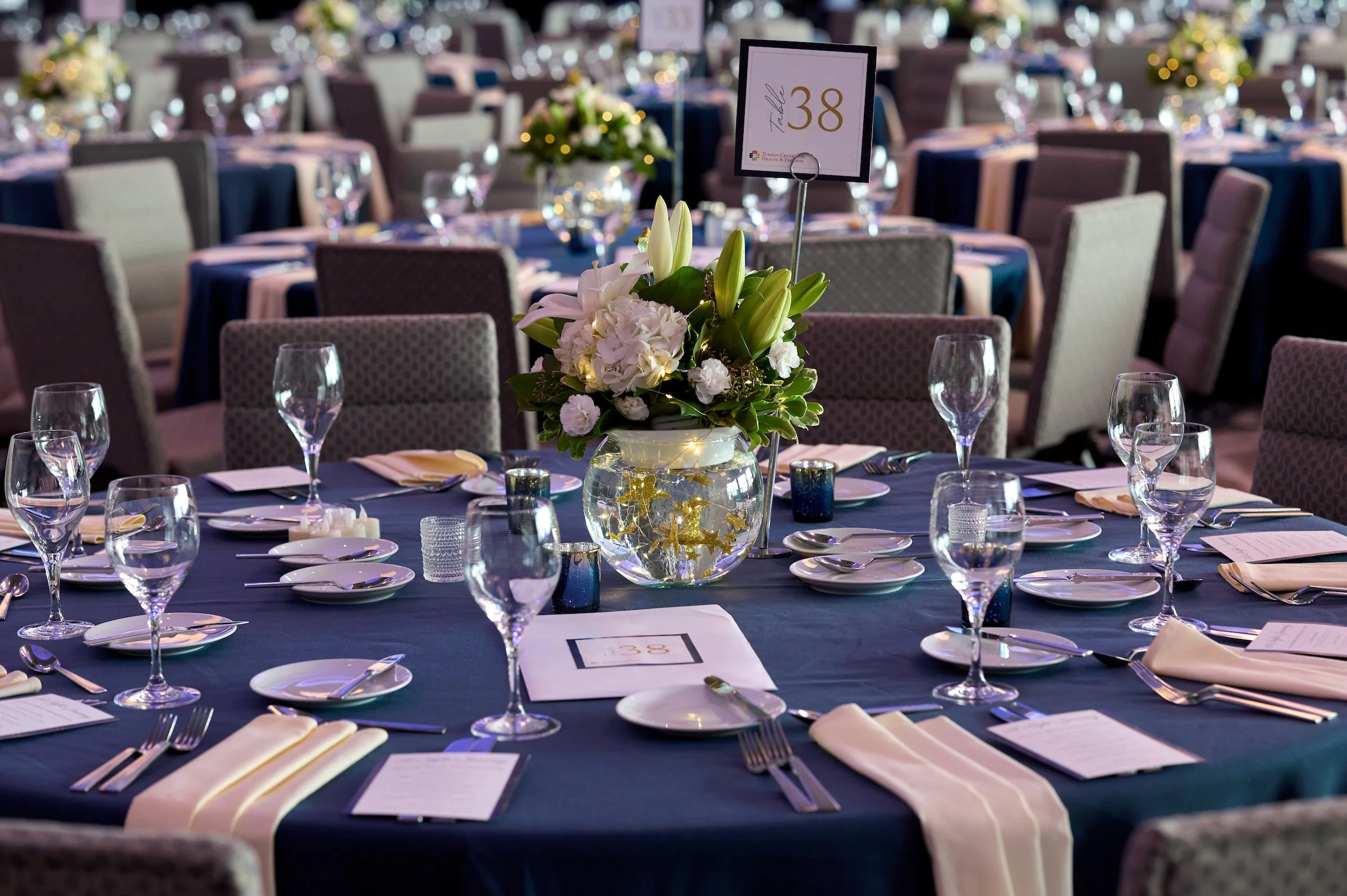20251011_2025_Tubman_Center_For_Health_and_Freedom_Gala_006.jpg