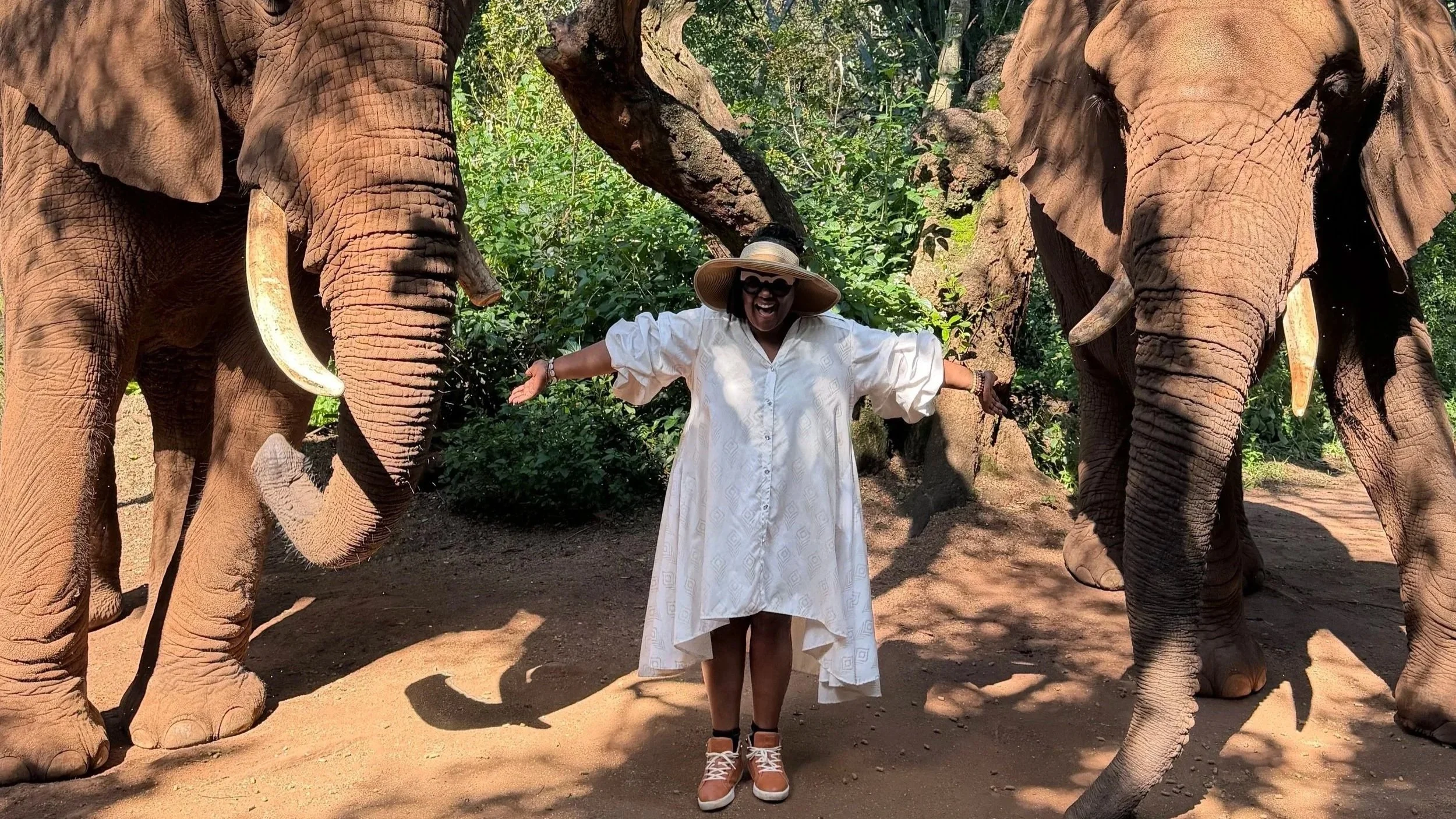 Trae Holiday Finds Healing and Adventure in South Africa