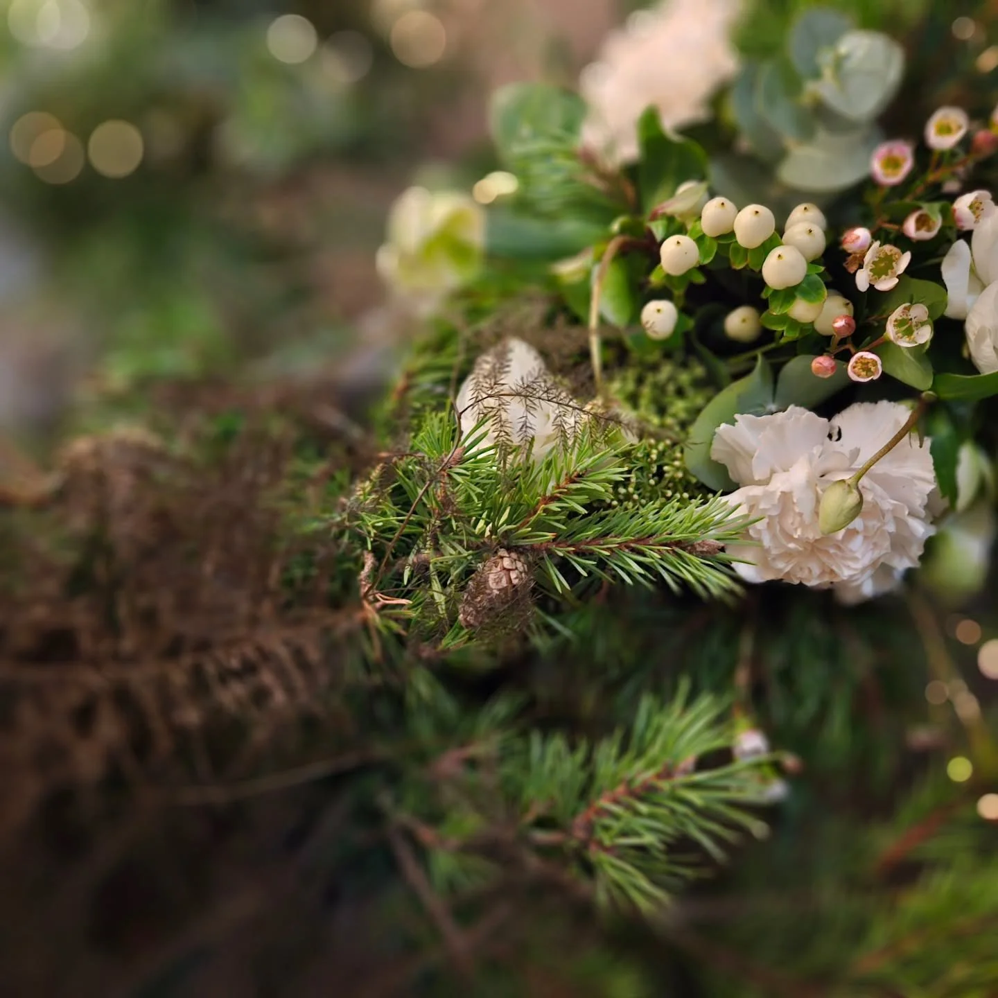 Is&auml;np&auml;iv&auml;n&auml; palvelemme klo.11-15🤎

#is&auml;np&auml;iv&auml; #is&auml;np&auml;iv&auml;lahja #is&auml;np&auml;iv&auml;kukkia #kukkiaverkossa #kukkiakotiin #kukkaikkuna #kukkakauppatampere #kukkakauppa #kivijalkamyym&auml;l&auml; #