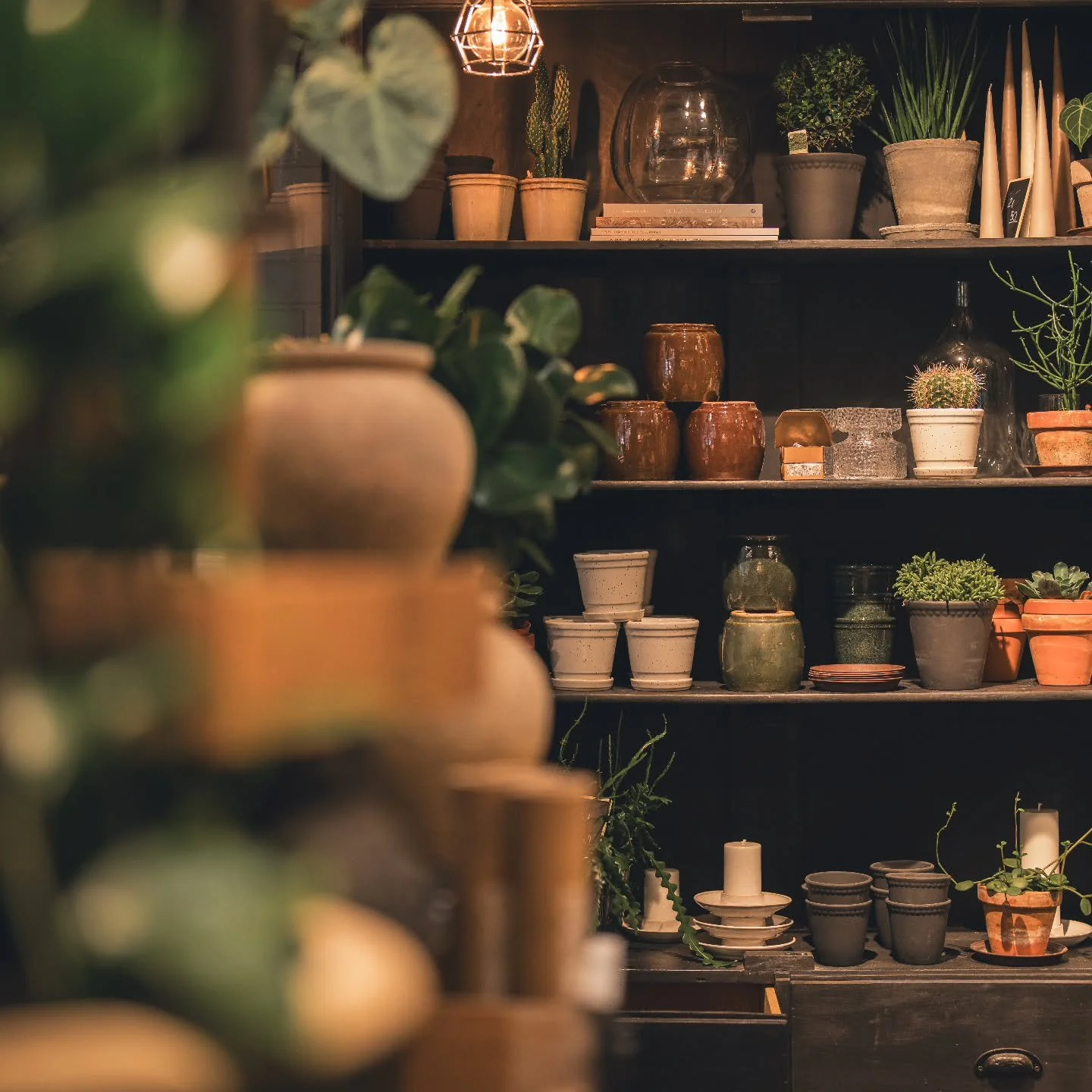 Talvinen tervehdys meilt&auml; Kukkaikkunasta ❄️
Tervetuloa piipahtamaan ja aistimaan meid&auml;n ihana tunnelma.
Kransseja, ihania leikkoja, ruukkuja, kynttil&ouml;it&auml; ja kasvimaailma 🌲

Lauantaina klo.10-15 ,✨

N&auml;hd&auml;&auml;n &hearts;