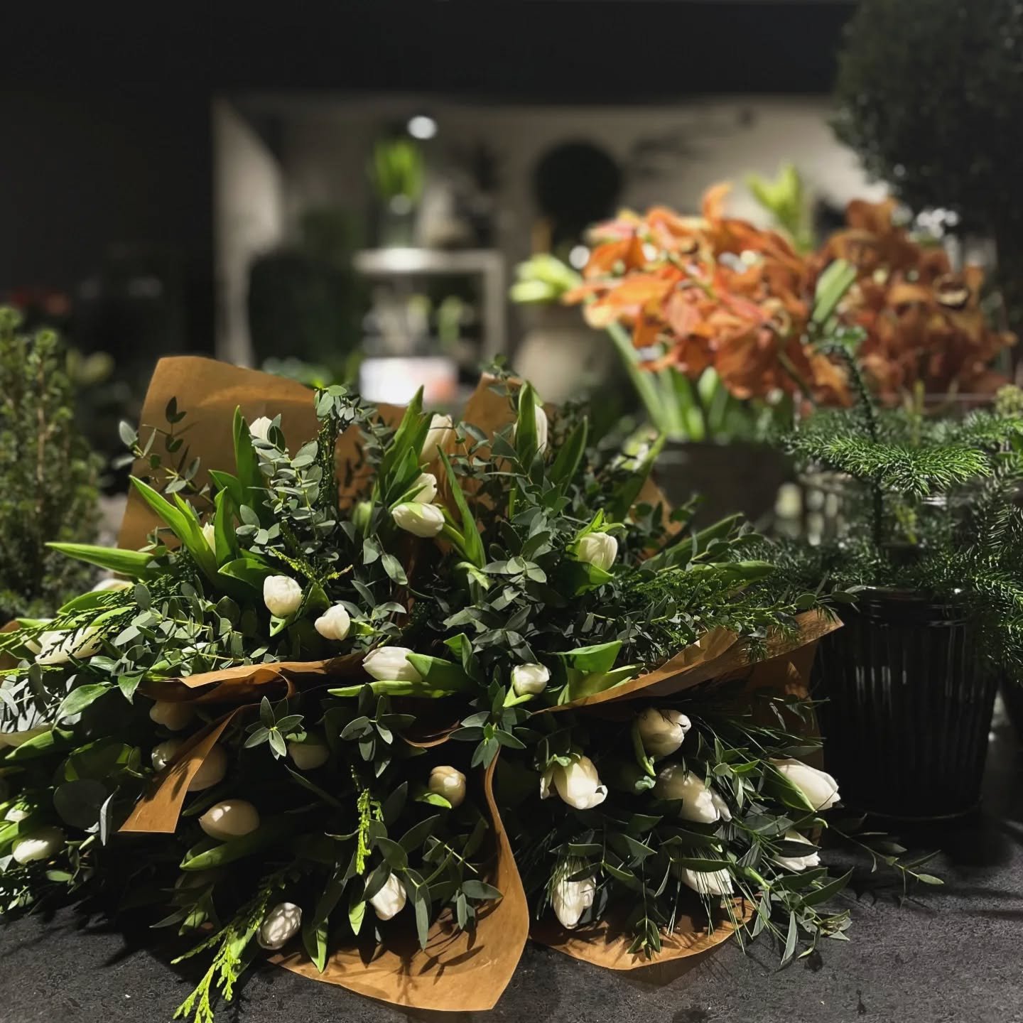 Joulun vaaleita ja mausteisia kaunottaria ✨

Tervetuloa tunnelmallisille joulun kukkaostoksille viel&auml; t&auml;n&auml;&auml;n aatonaattona kello kuuteen asti 🤍 Joulunvietosta palaamme puodille lauantaina 27.12., jolloin palvelemme klo 10-14.

#ku