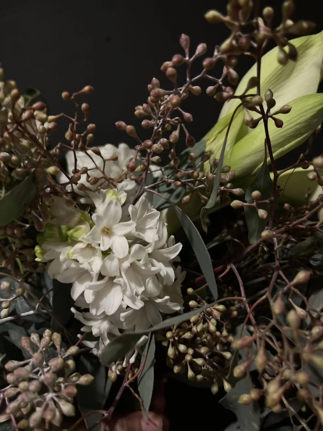 Lauantaina 28.12 palvelemme klo.10-14.00.
Muutama joulujuttu olisi my&ouml;s alessa.
Tuu piipahtamaan ostoksille 😊✨

#loppuvuosi #2025 #kukkia #kukkaikkuna #kukkakauppatampere