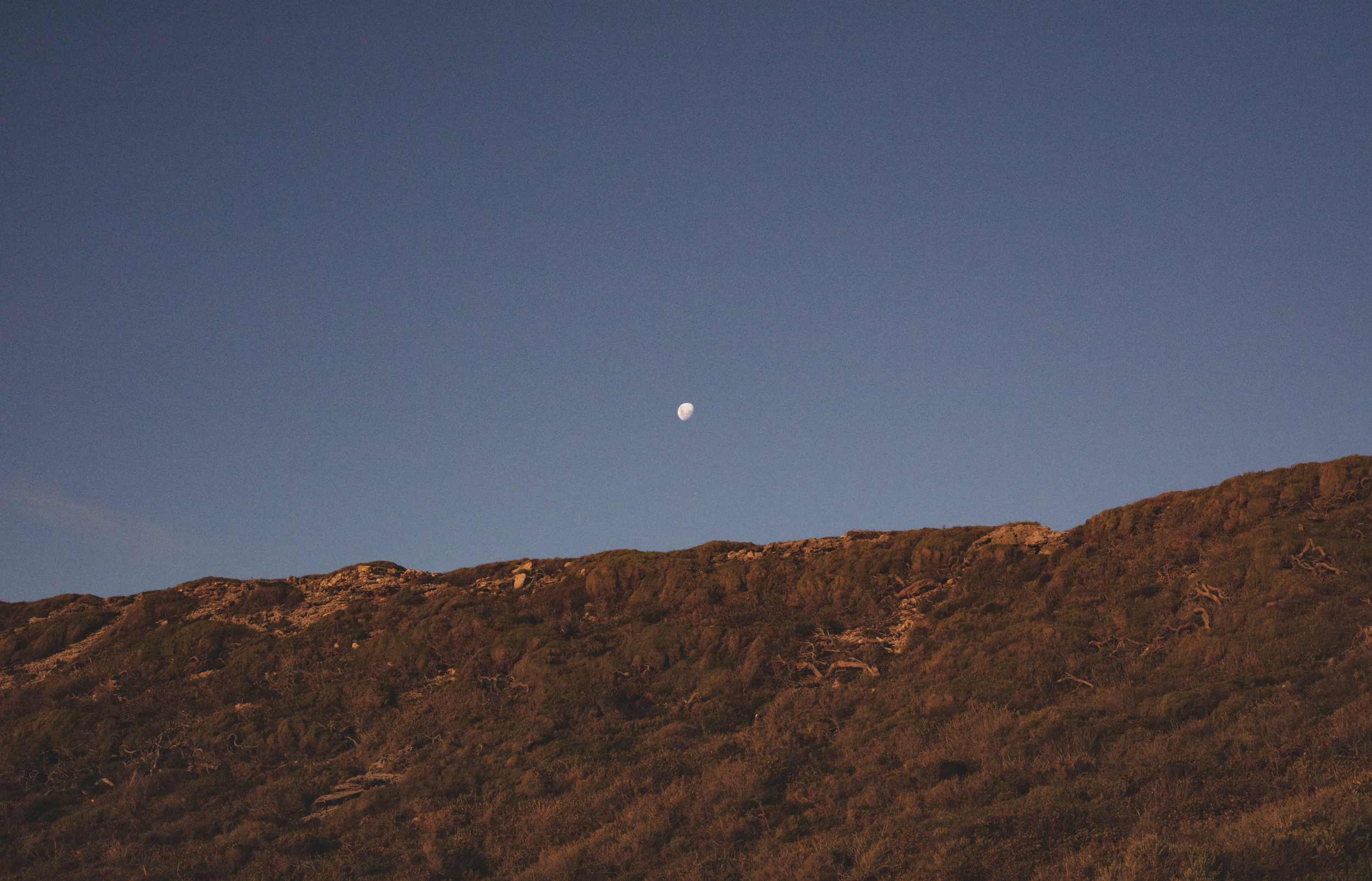 Screen Shot 2020-06-14 at 5.49.37 pm.png