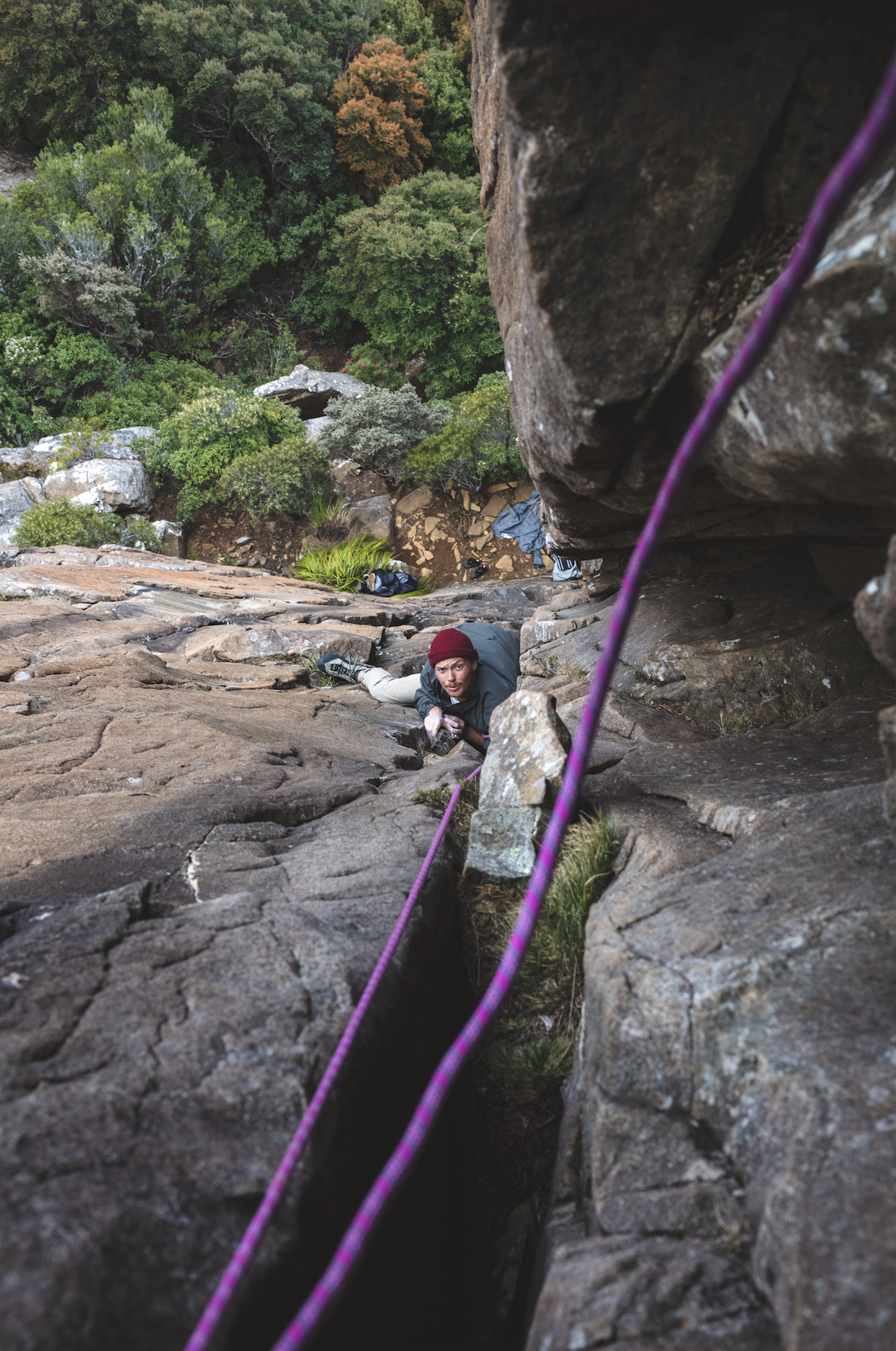 Screen Shot 2020-06-15 at 12.25.38 pm.png