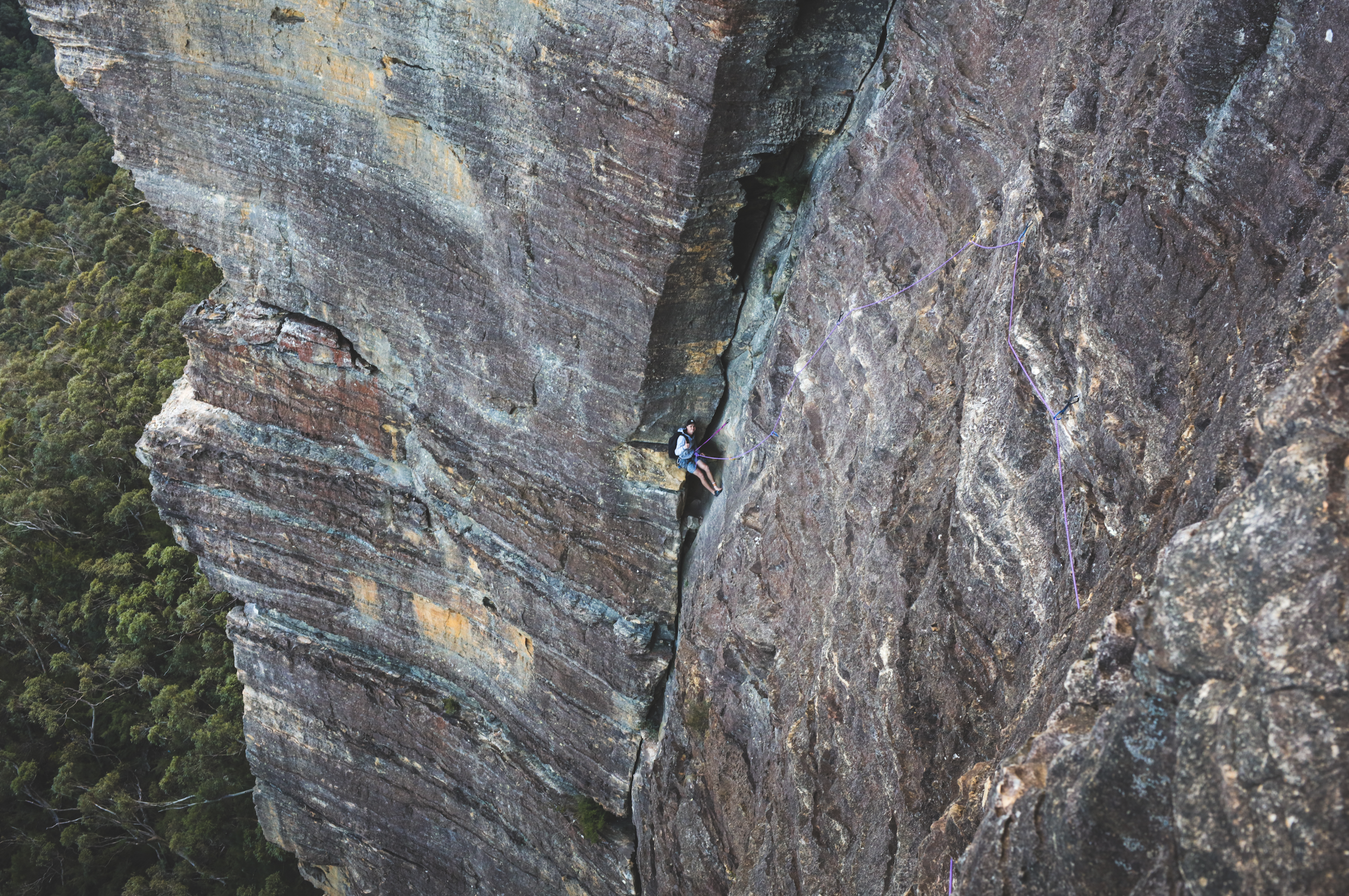 Screen Shot 2020-06-15 at 12.29.33 pm.png