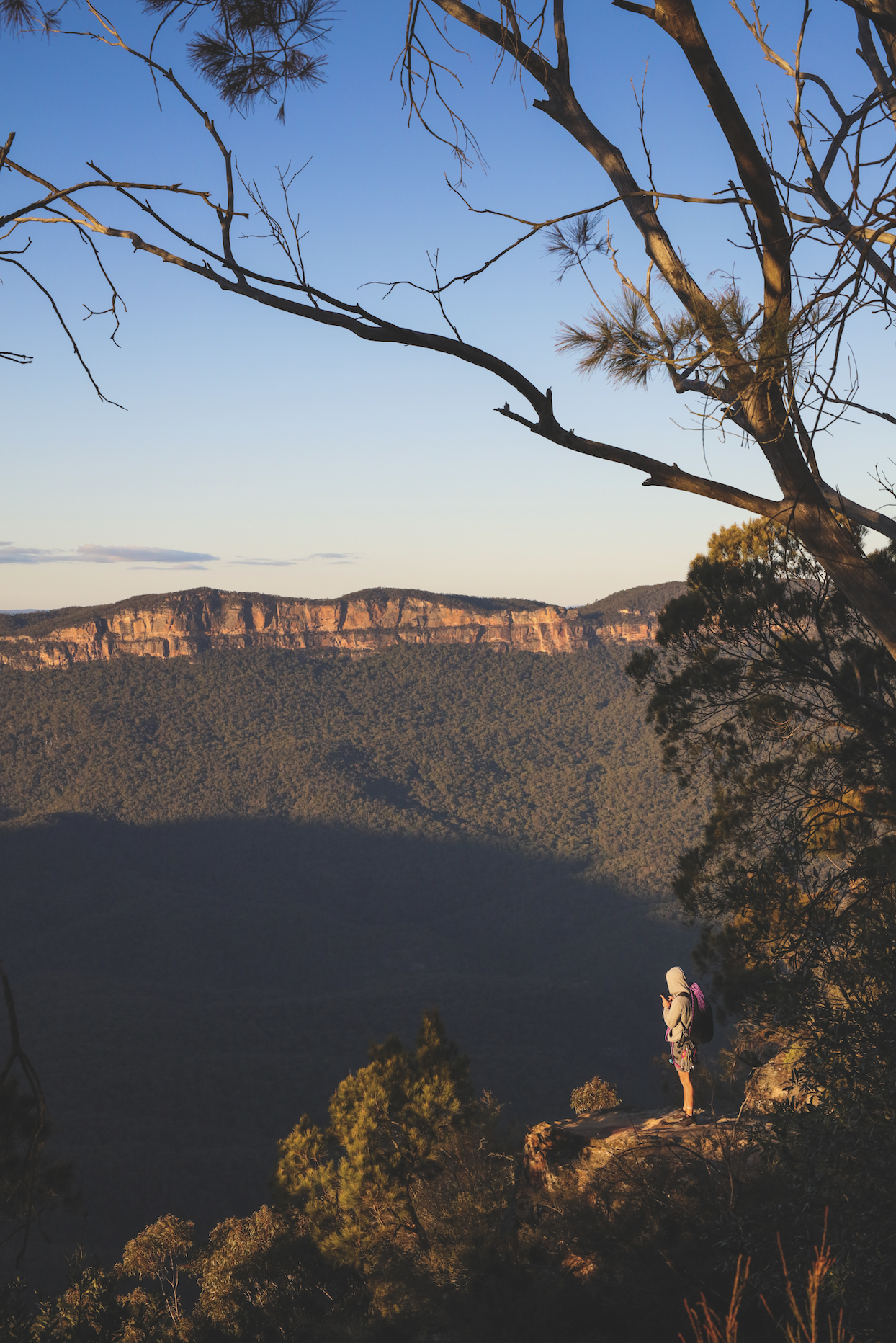 Screen Shot 2020-06-15 at 12.28.35 pm.png