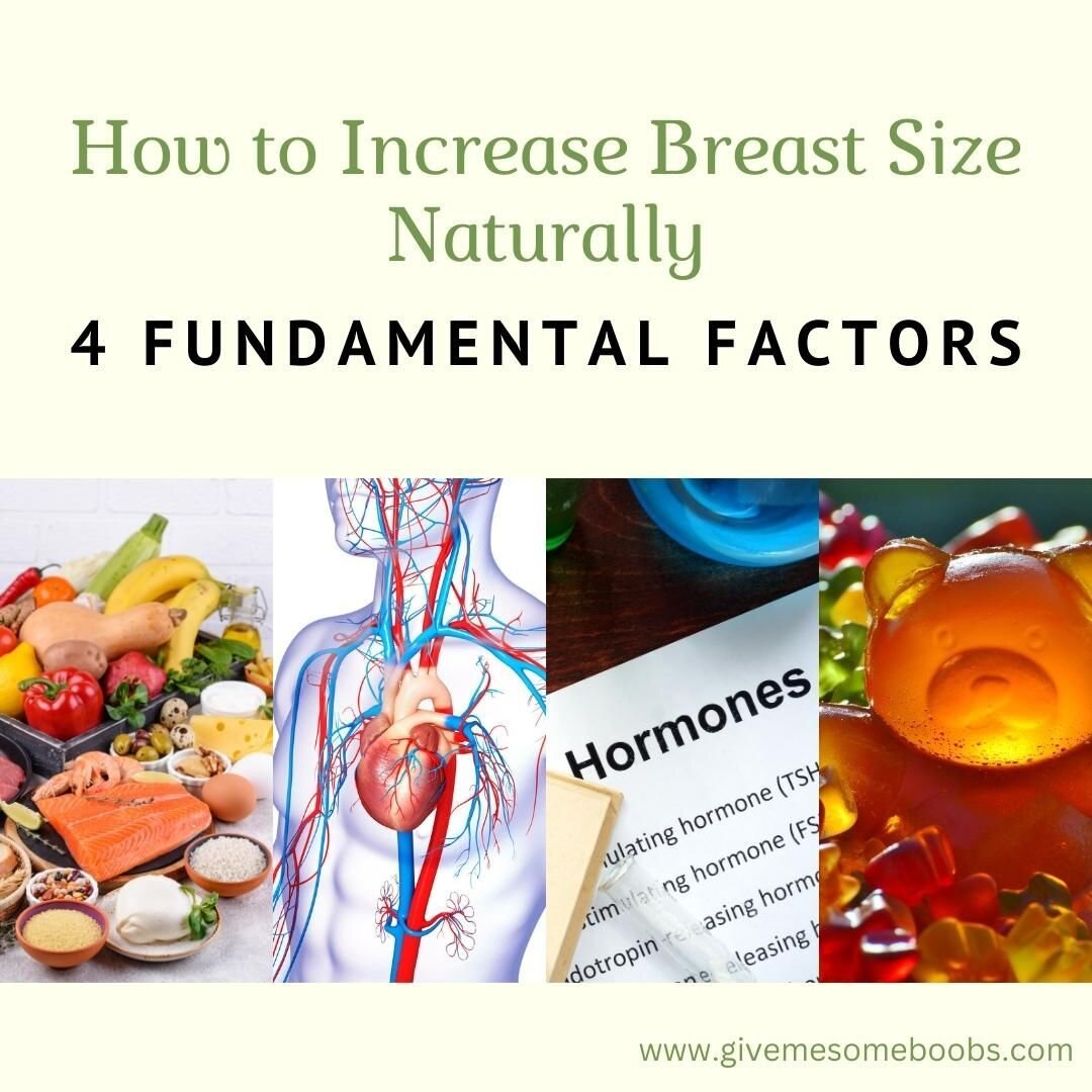 I have a significant update to one of my core blog posts from 2016: How to Increase Breast Size Naturally, 4 Fundamental Factors.

The 4 fundamental factors I focus on in my natural breast growth regimen are:

⭐️ nutrition
⭐️ blood circulation
⭐️ hor