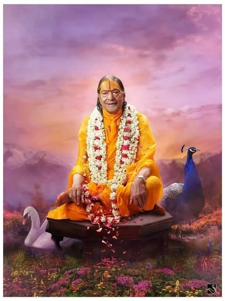 Satsang - How to meet a Saint.