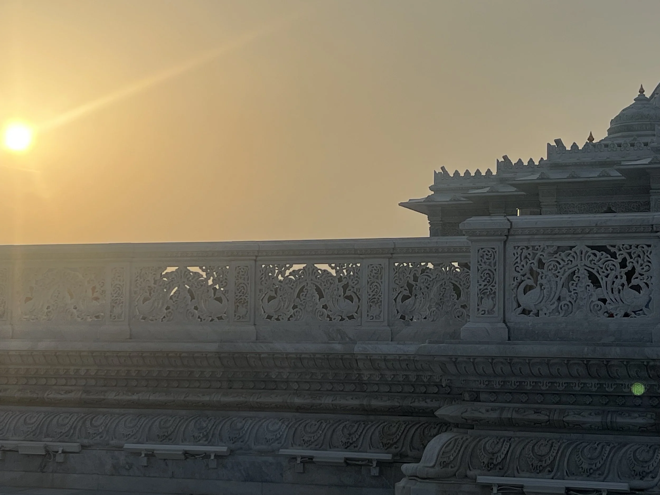 Satsang - Perspective - think about the rare opportunity &amp; blessing you have been given.