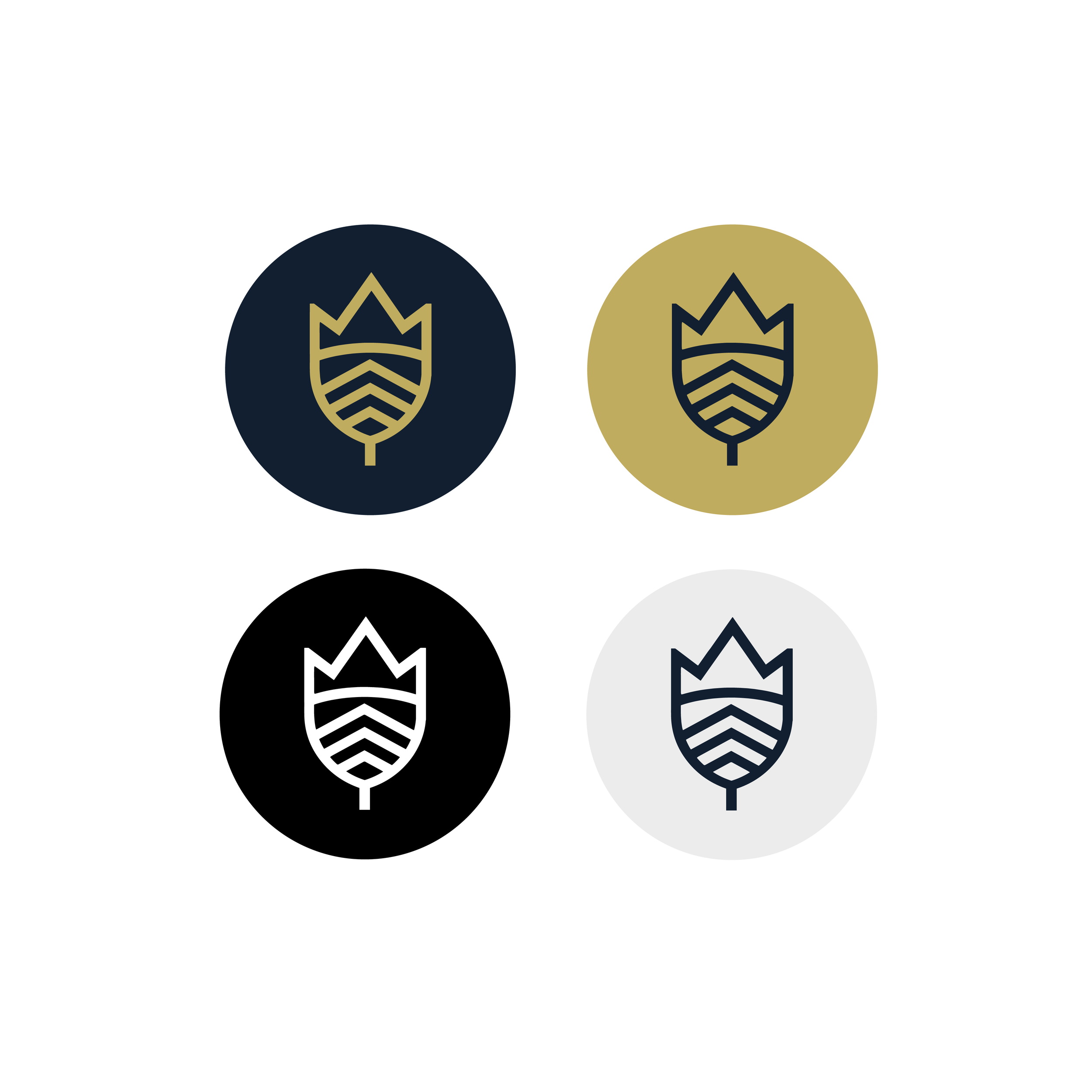 Social Media Icons