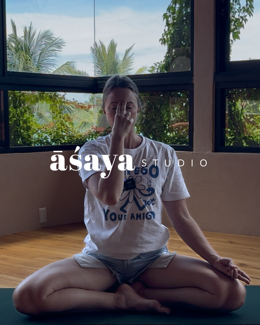 Nadi Shodhanna.png.PNG