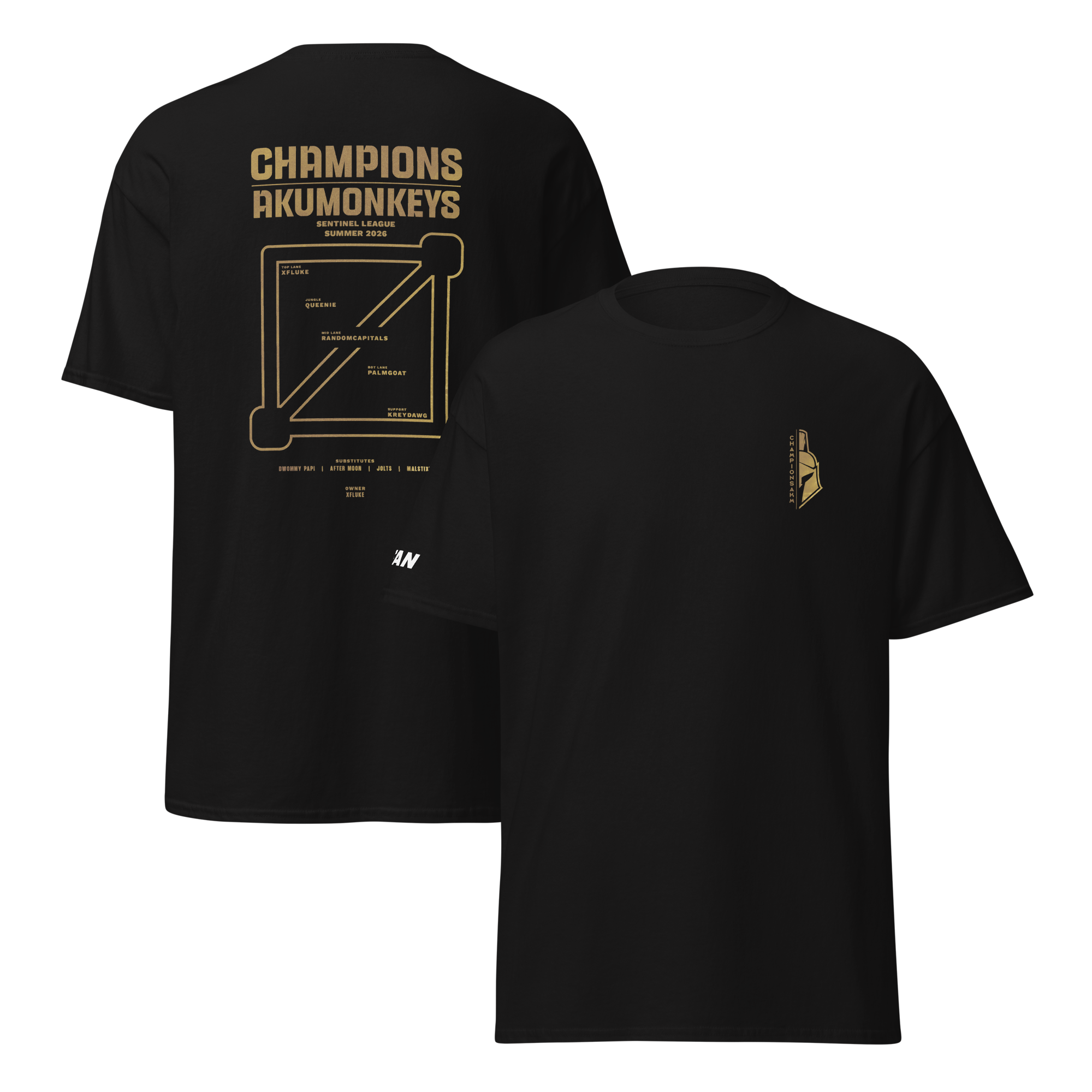 unisex-classic-tee-black-front-and-back-6acf7d225e263.png