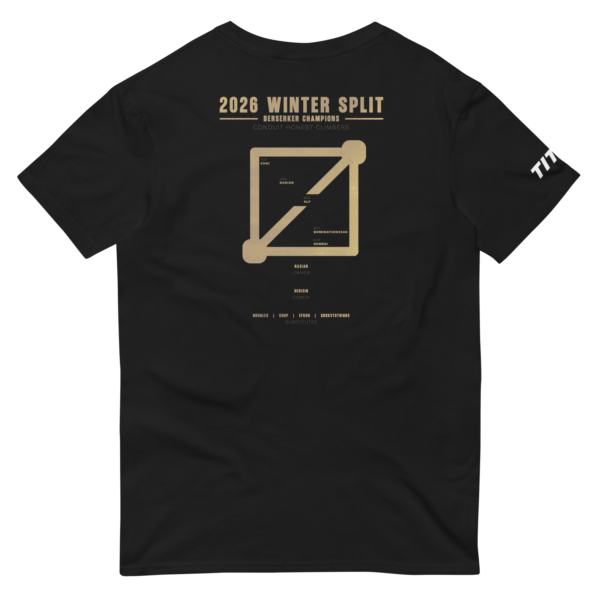 unisex-lightweight-t-shirt-black-back-6a14c3eb814bd.png