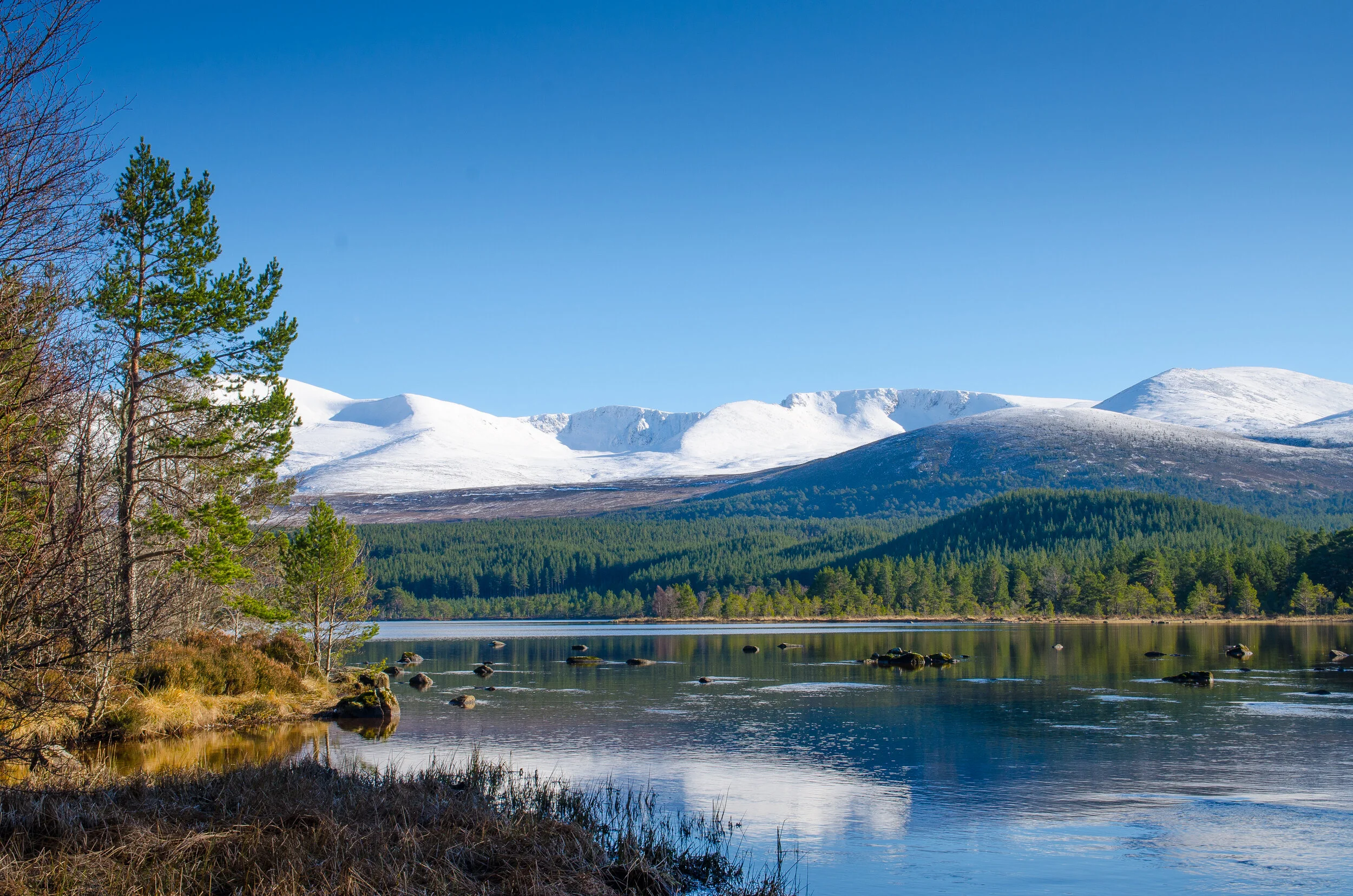 Activities in Aviemore — The Park Guest House Aviemore