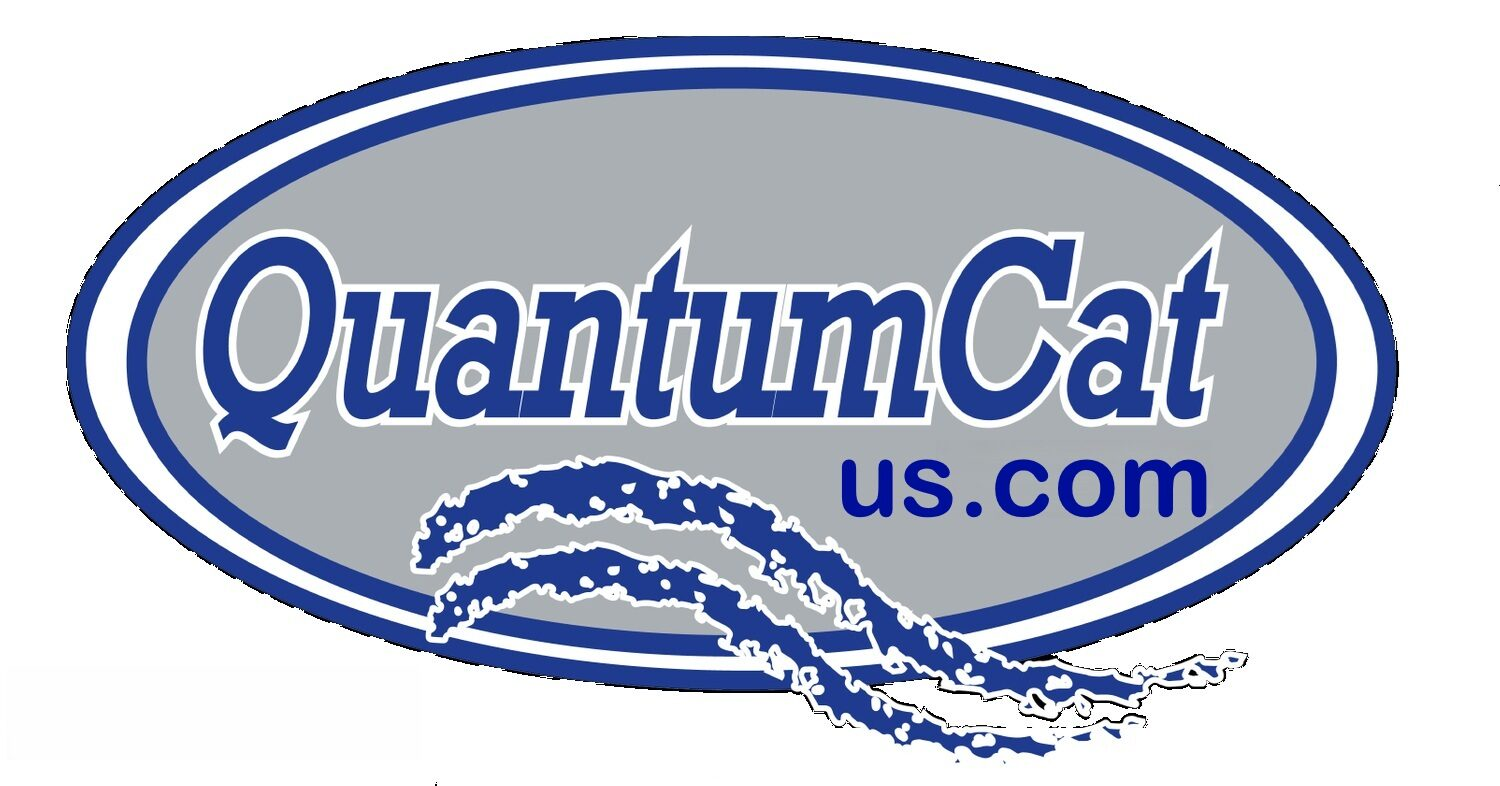 Quantum Catamarans