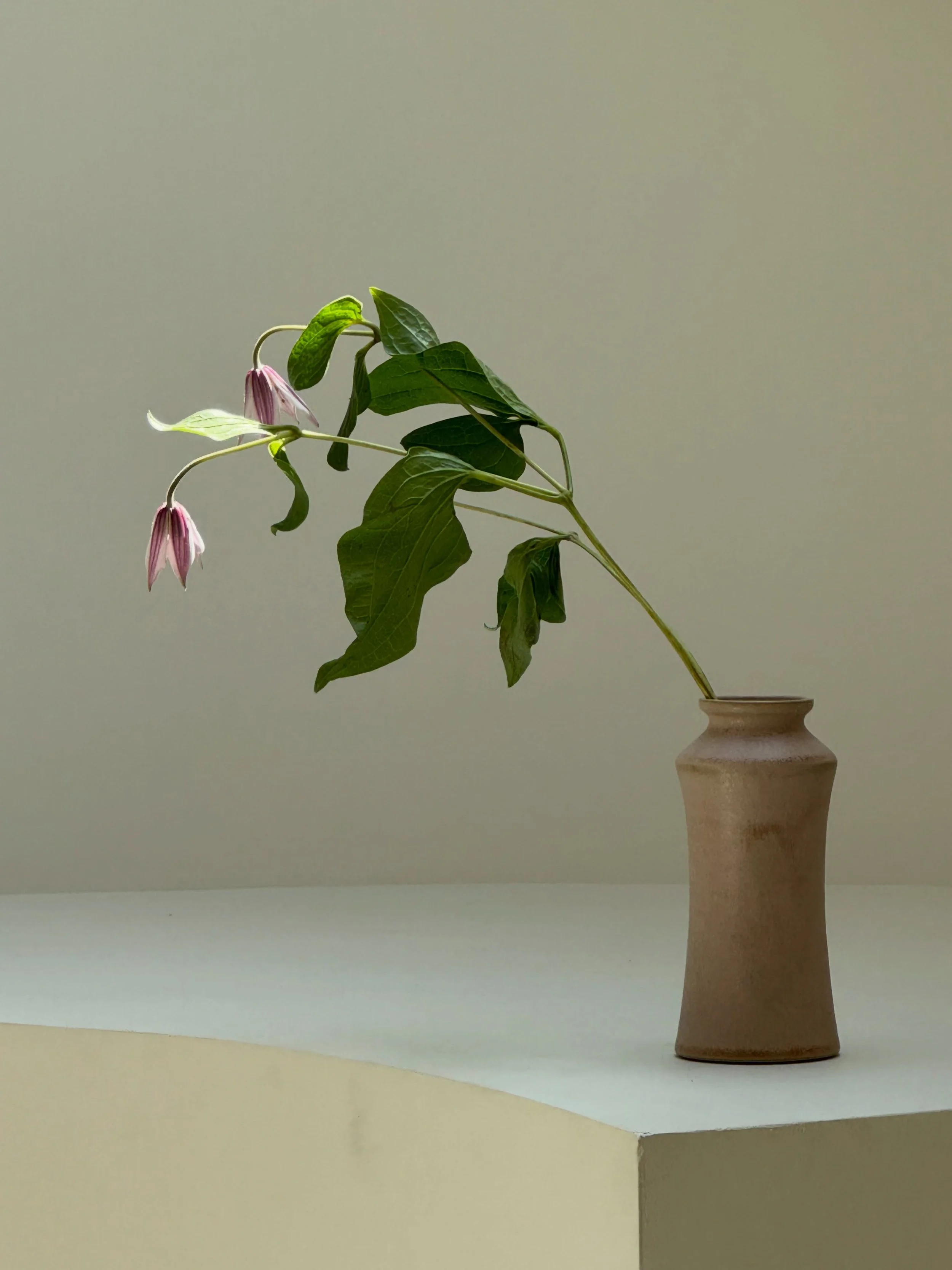 A single stem is all that&rsquo;s needed.