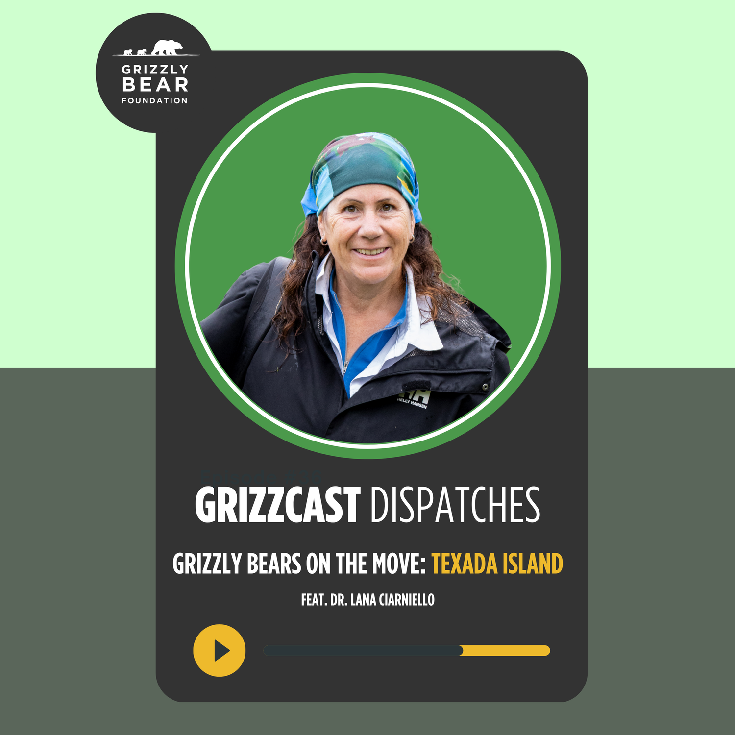 Play Dispatch #2: Grizzly Bears on the move — Texada Island | Dr. Lana Ciarniello